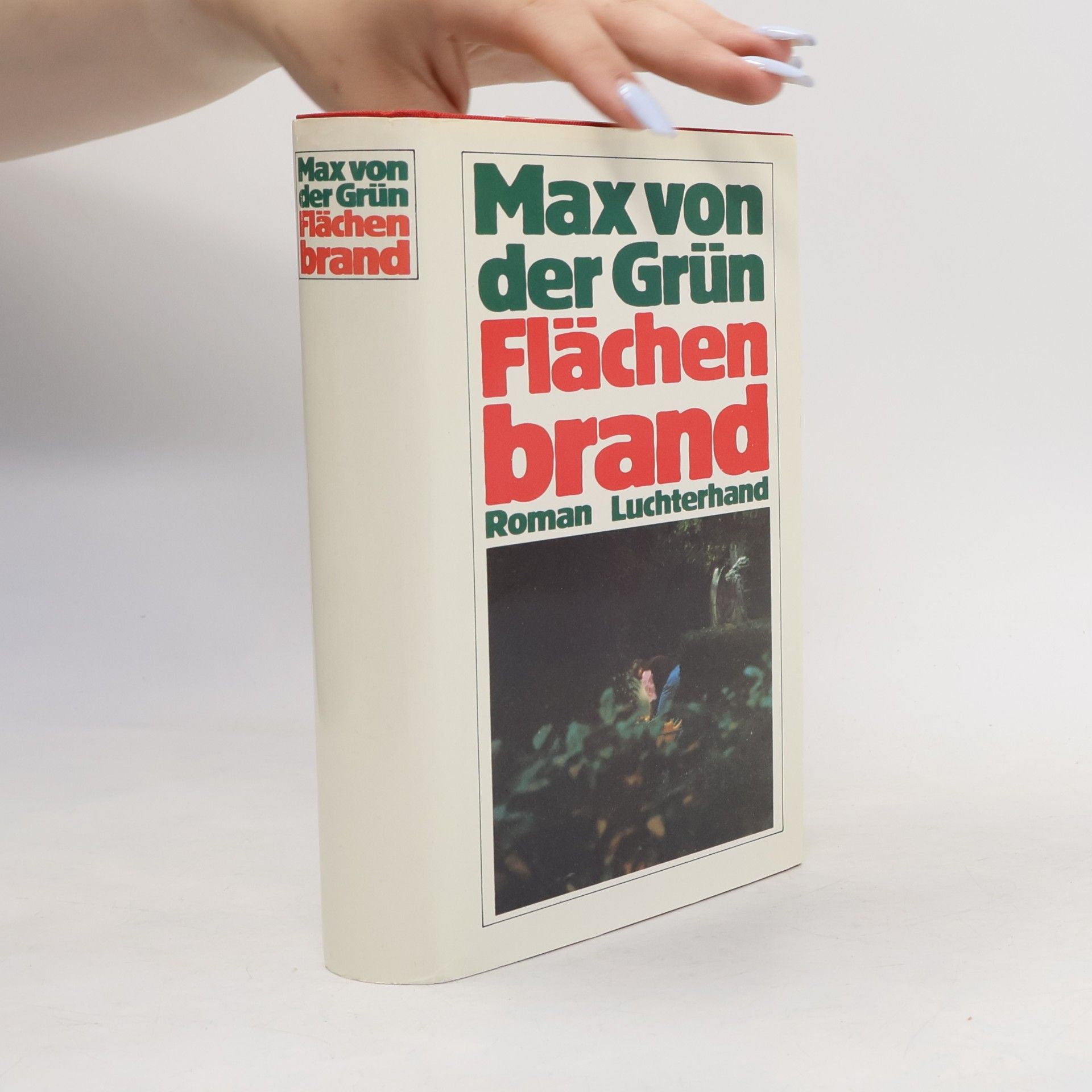 Max von der Grün Flächenbrand : Roman