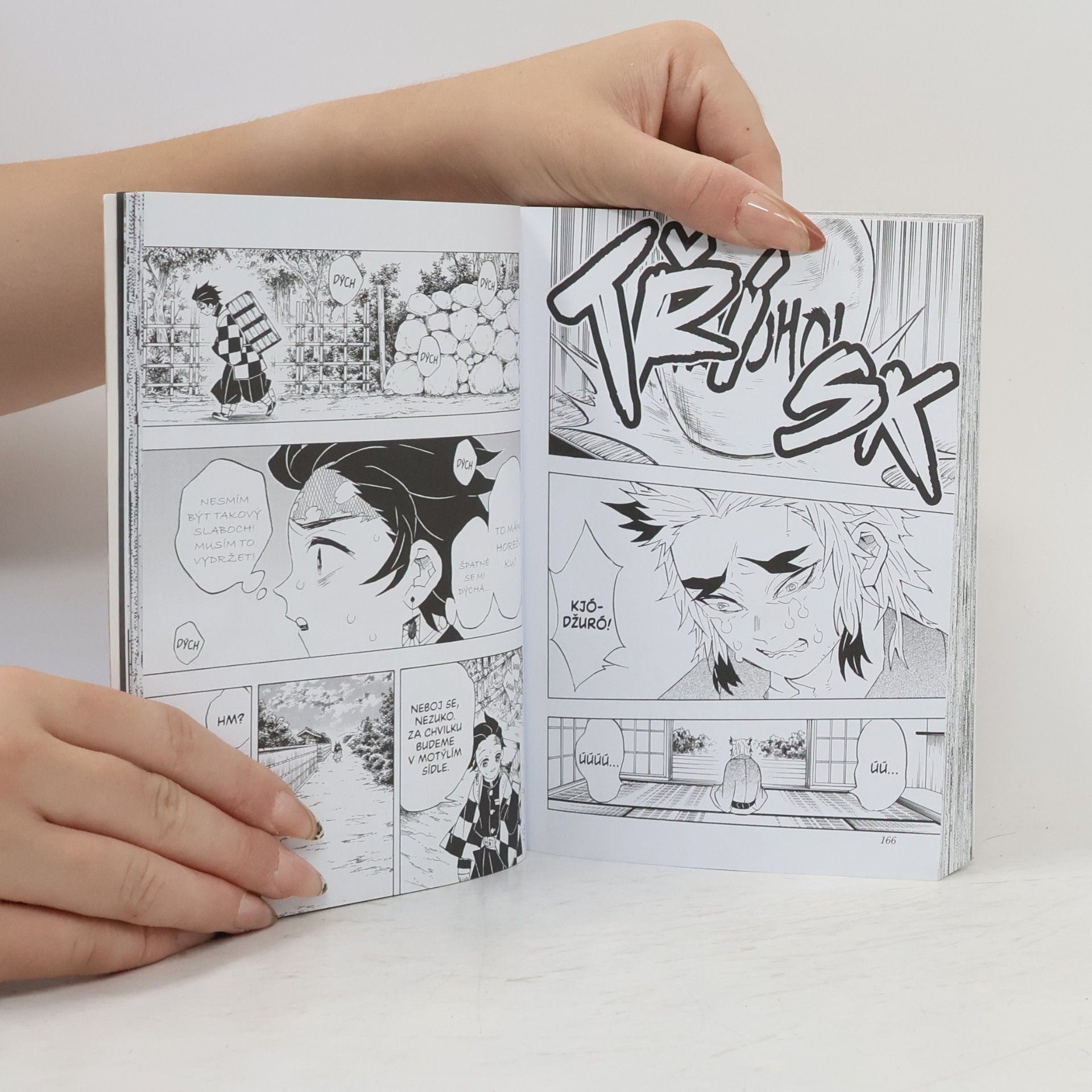 Koyoharu Gotōge Zabiják démonů. 8, Vyšší Měsíc proti Pilíři