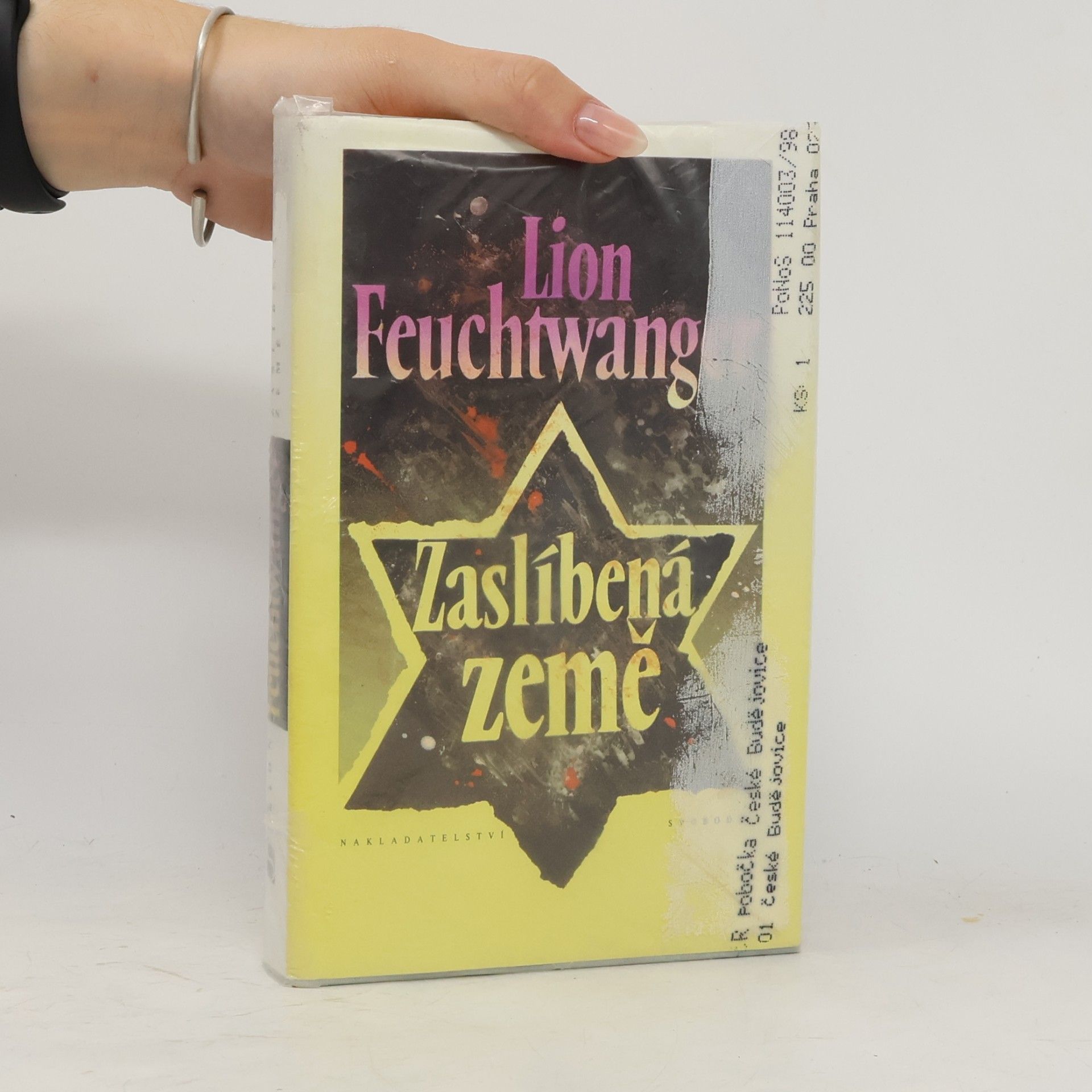 Lion Feuchtwanger Zaslíbená země