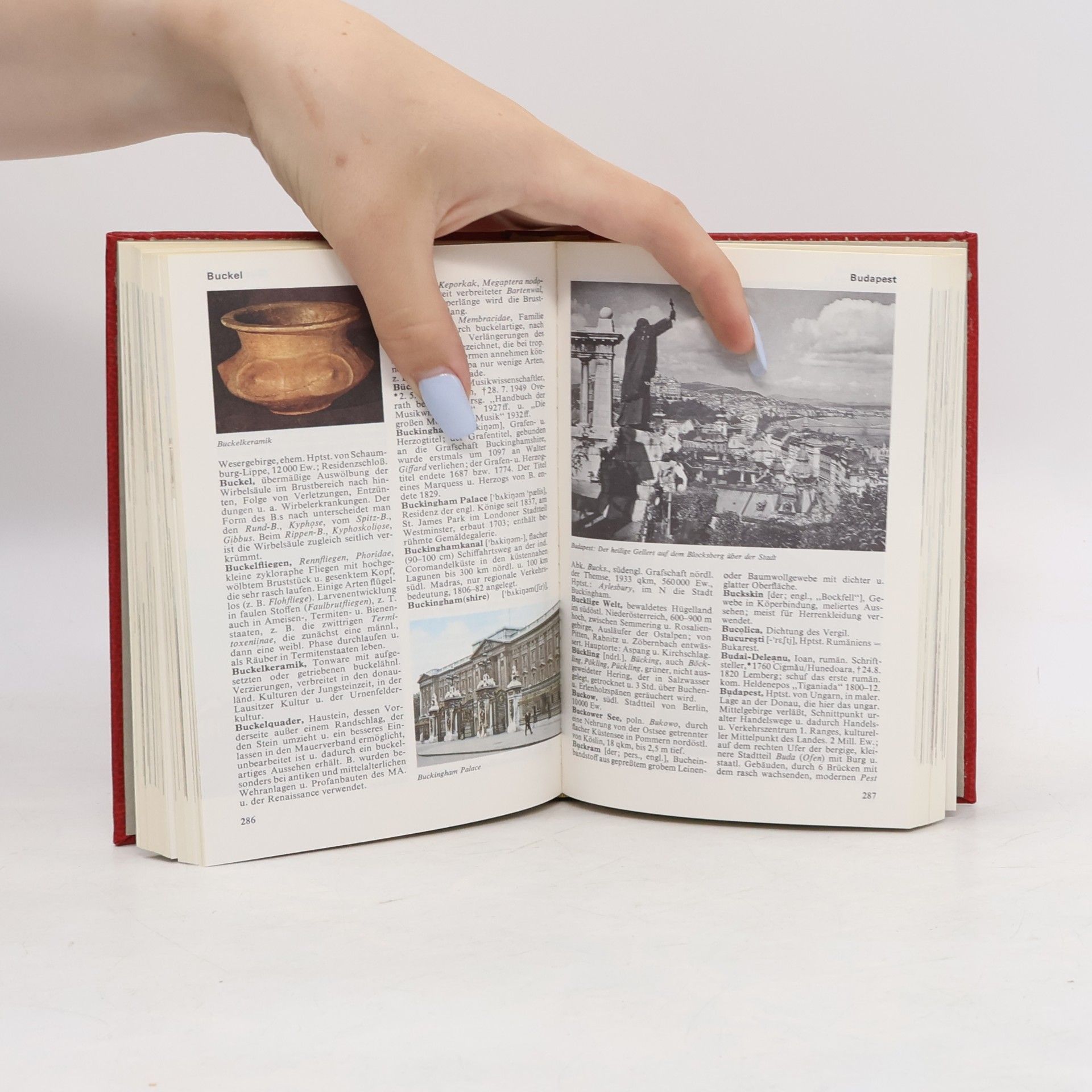 Autorenkollektiv Das moderne Lexikon 3. Bf-Cha