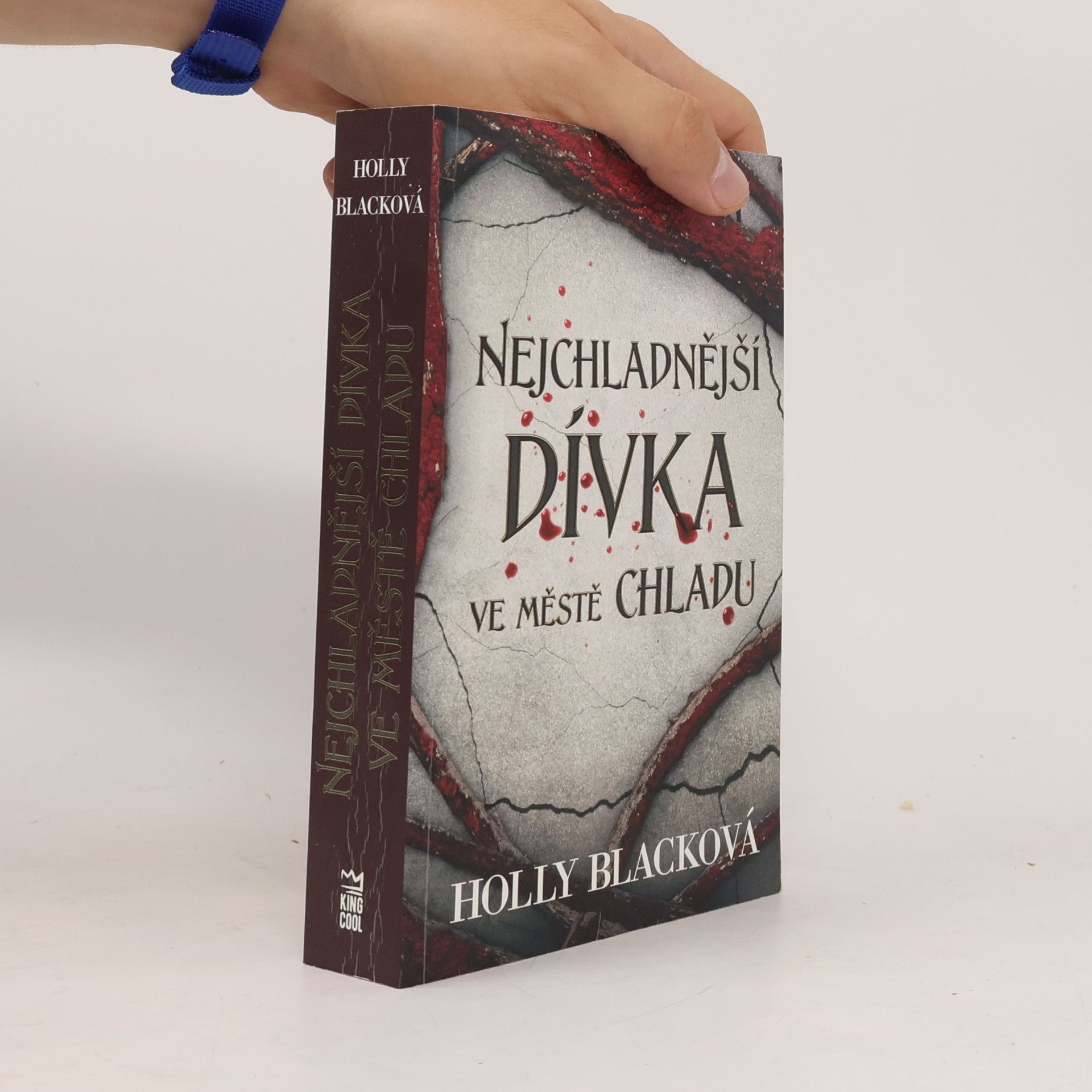 Holly Black Nejchladnější dívka ve městě chladu