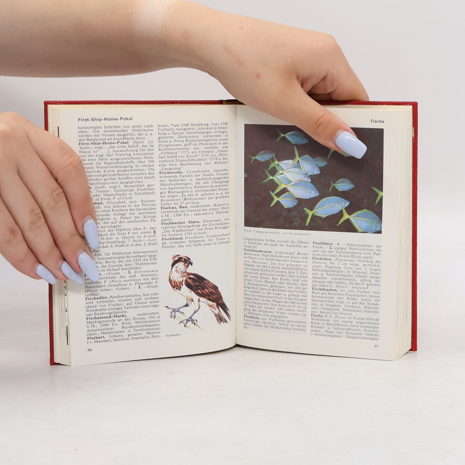 Autorenkollektiv Das Moderne Lexikon 6. Fav-Gep