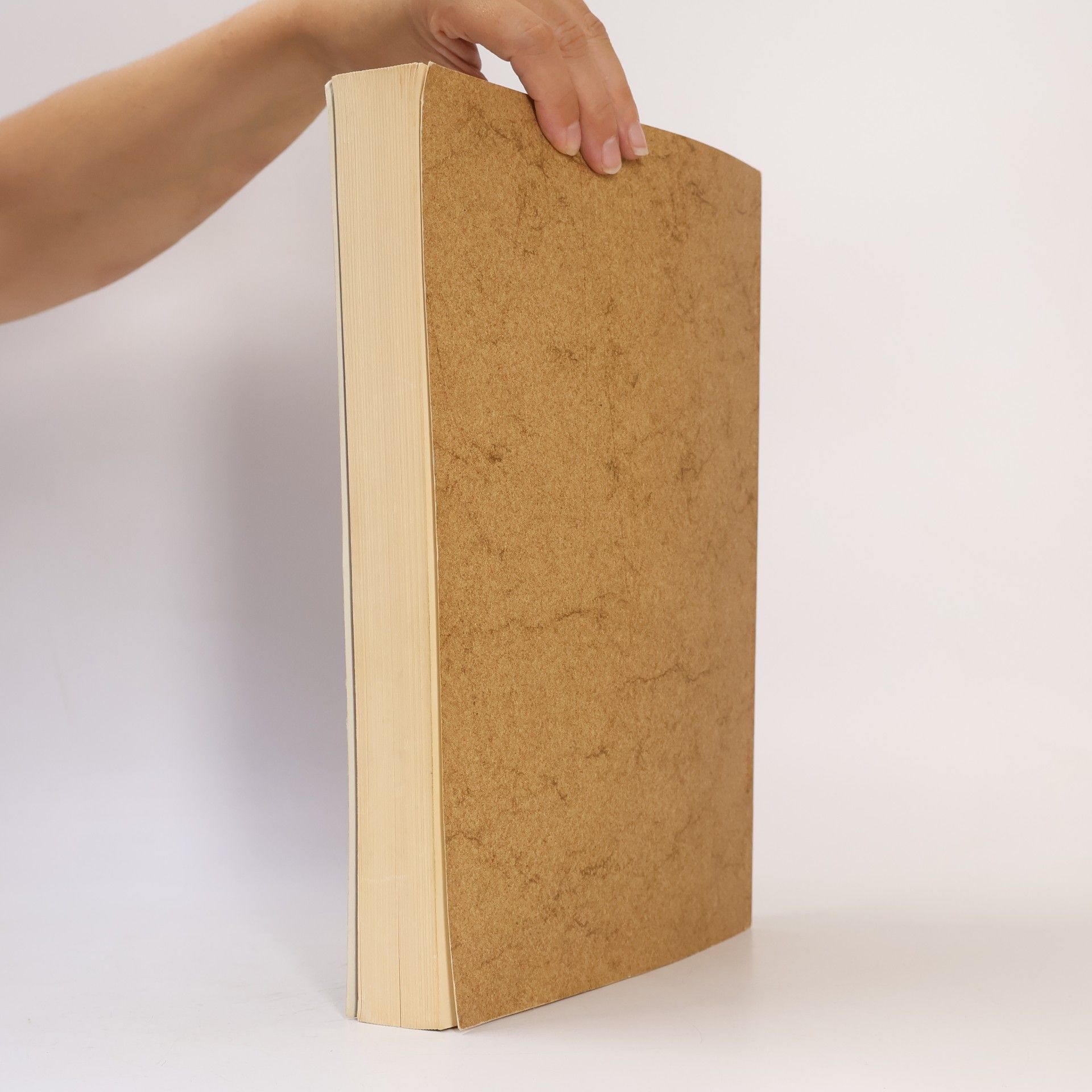 Anke Usche Clausen Plastisches Gestalten in Holz