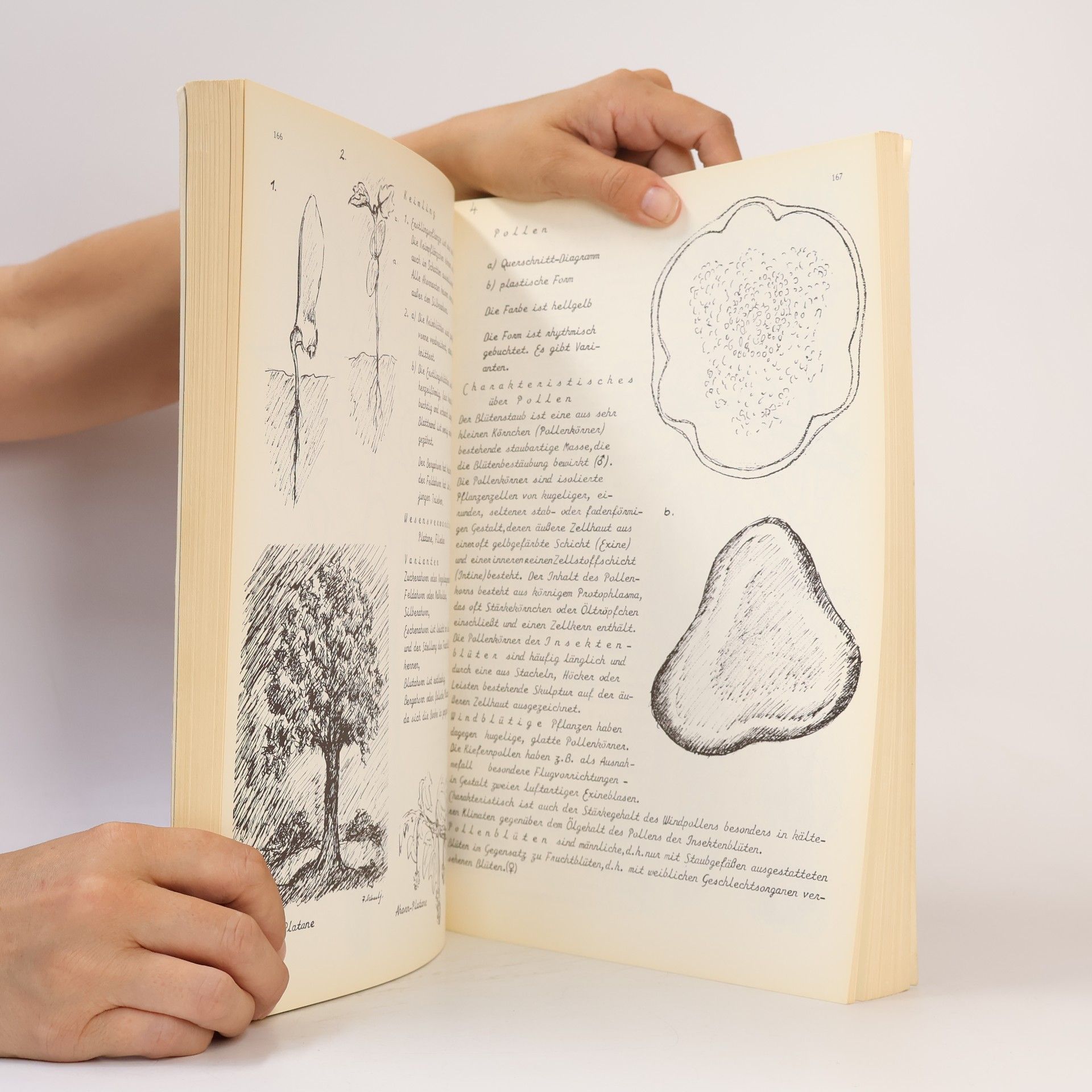 Anke Usche Clausen Plastisches Gestalten in Holz
