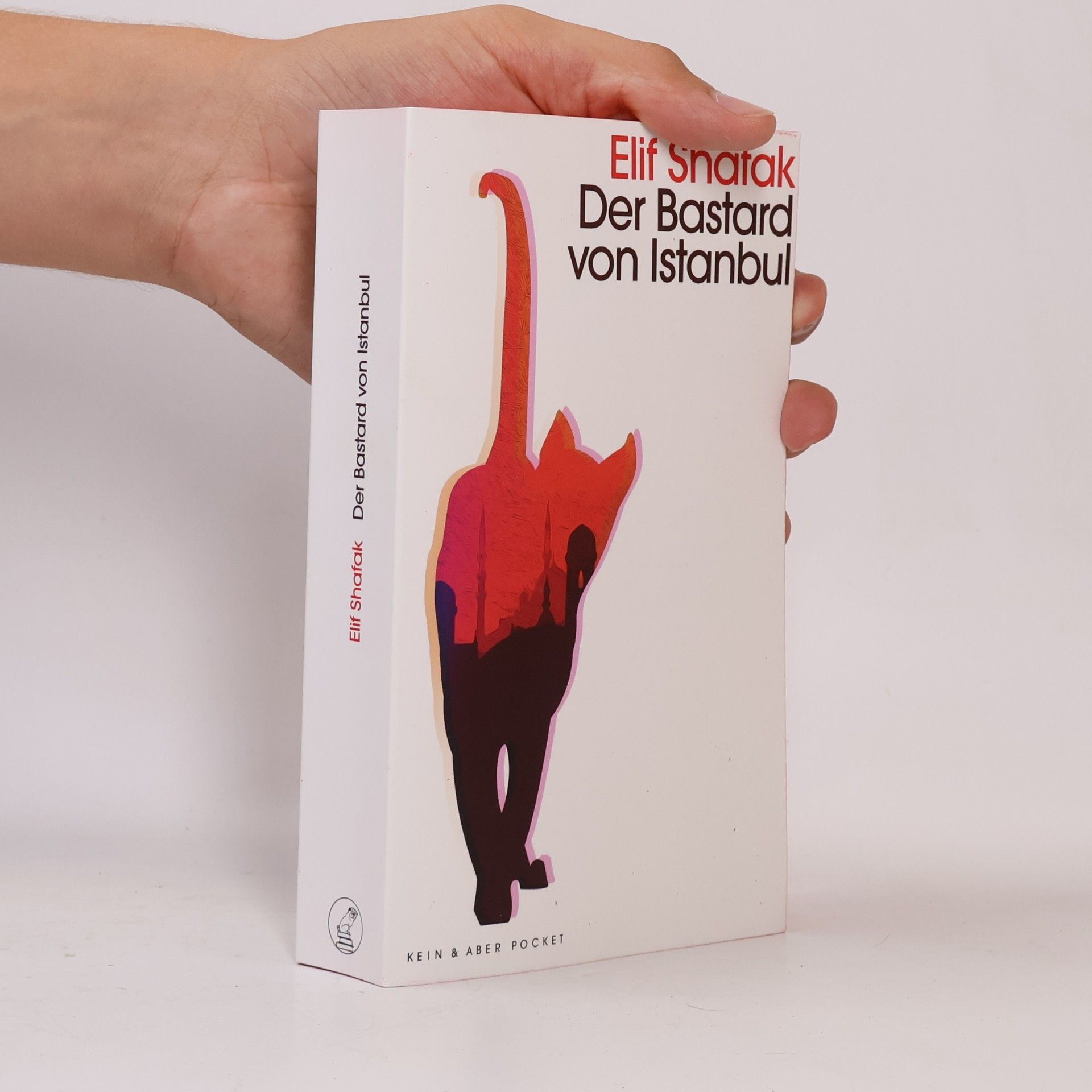 Elif Shafak Der Bastard von Istanbul