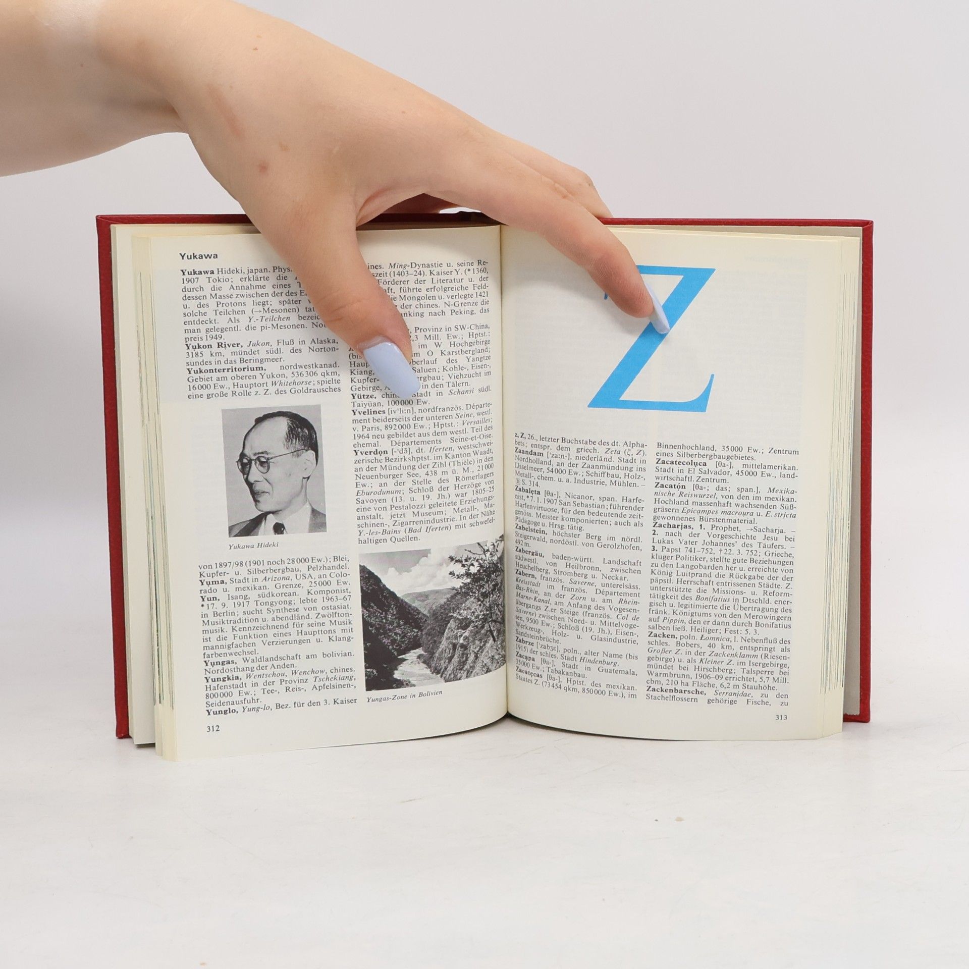 Collectif d'auteurs Das moderne Lexikon 20. Wali-Zz