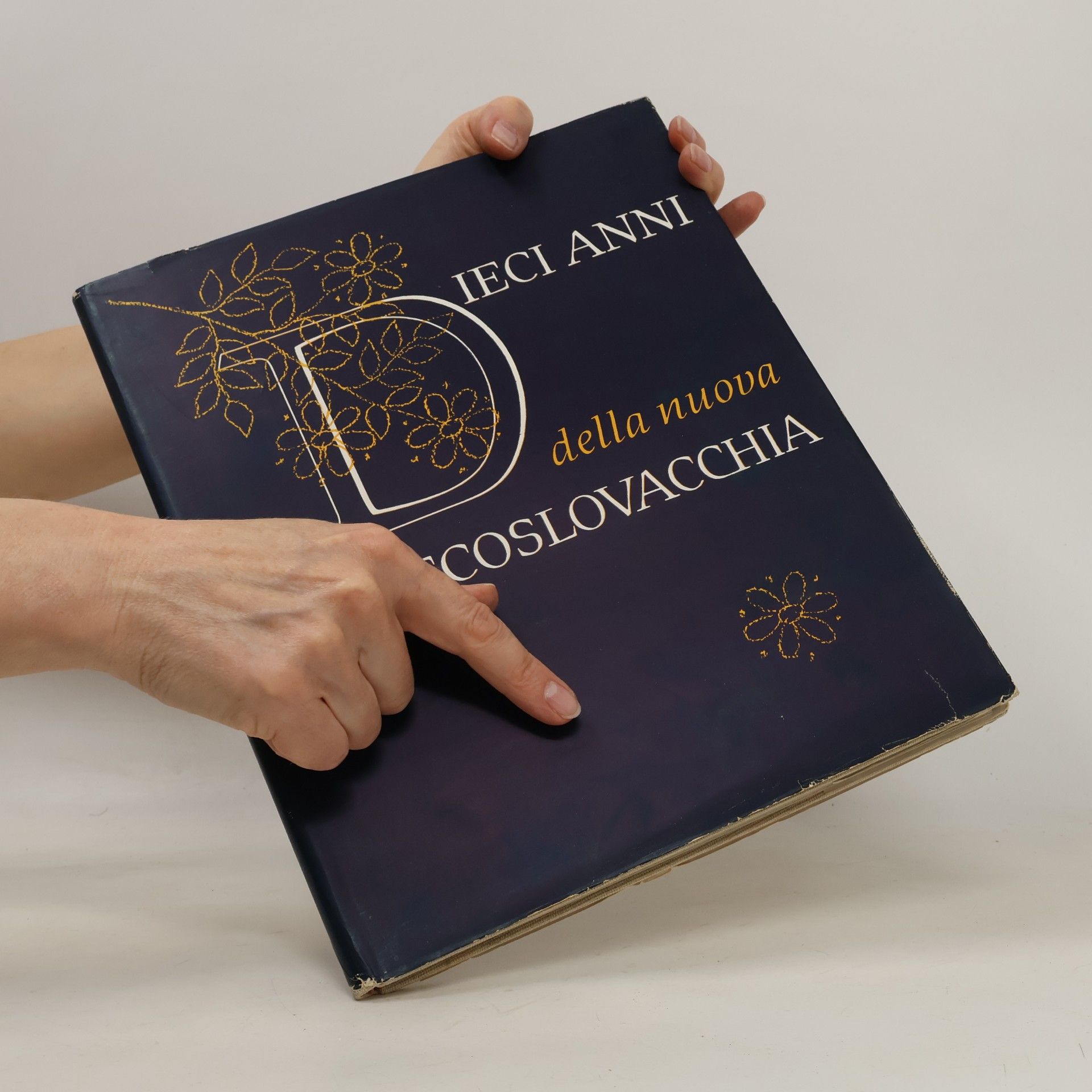 Jaroslav Dvořáček Dieci anni della nuova Cecoslovacchia