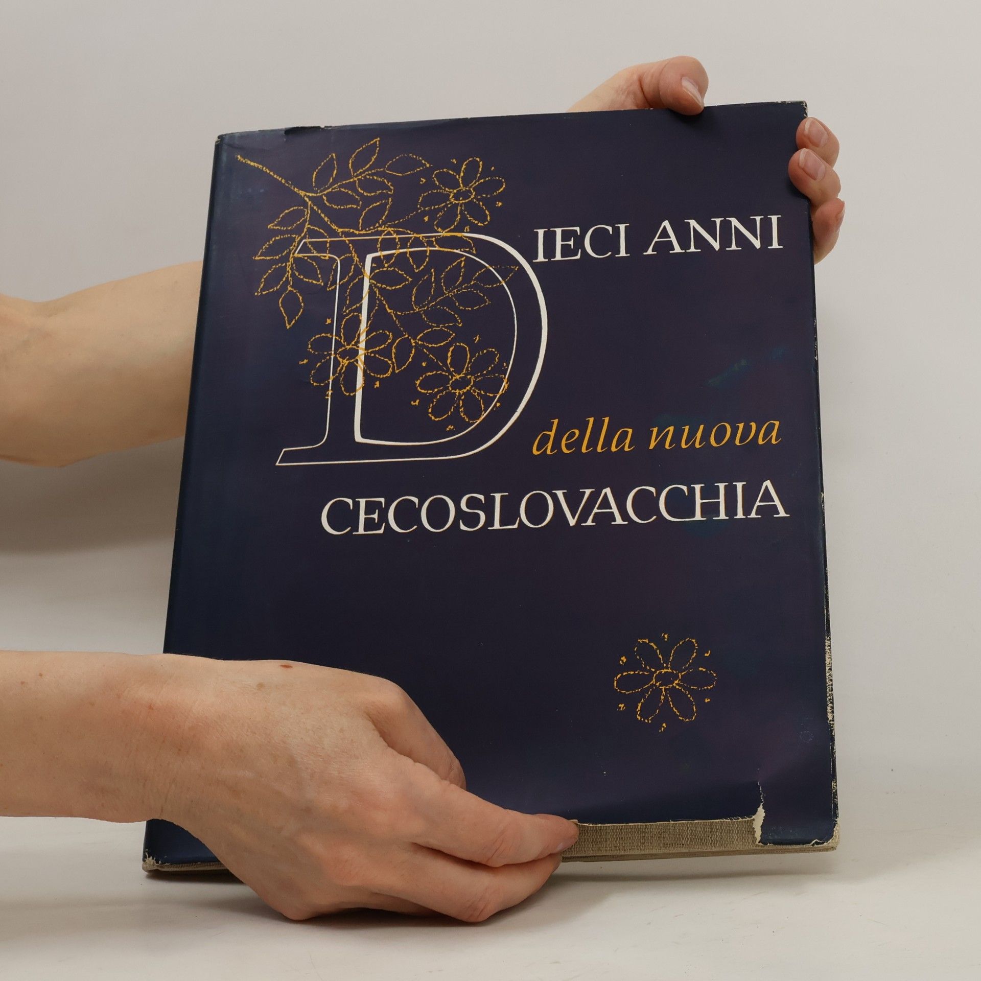 Jaroslav Dvořáček Dieci anni della nuova Cecoslovacchia