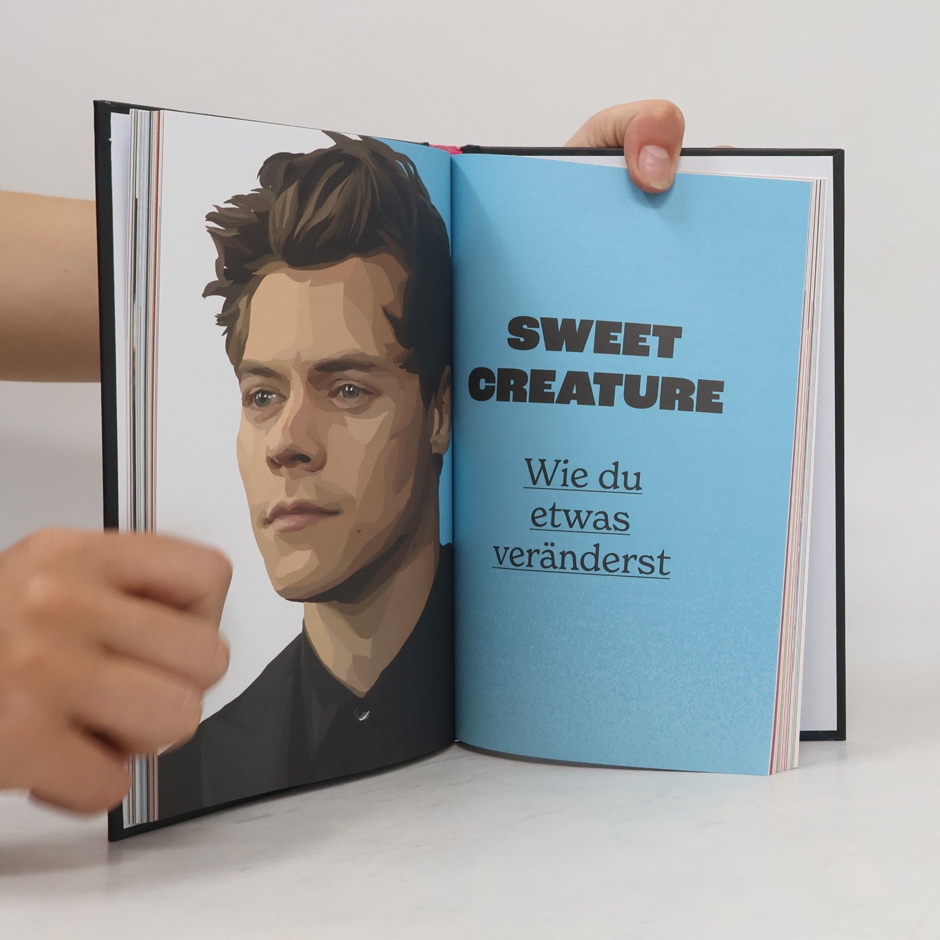 Charlotte McLaren The Book of Harry