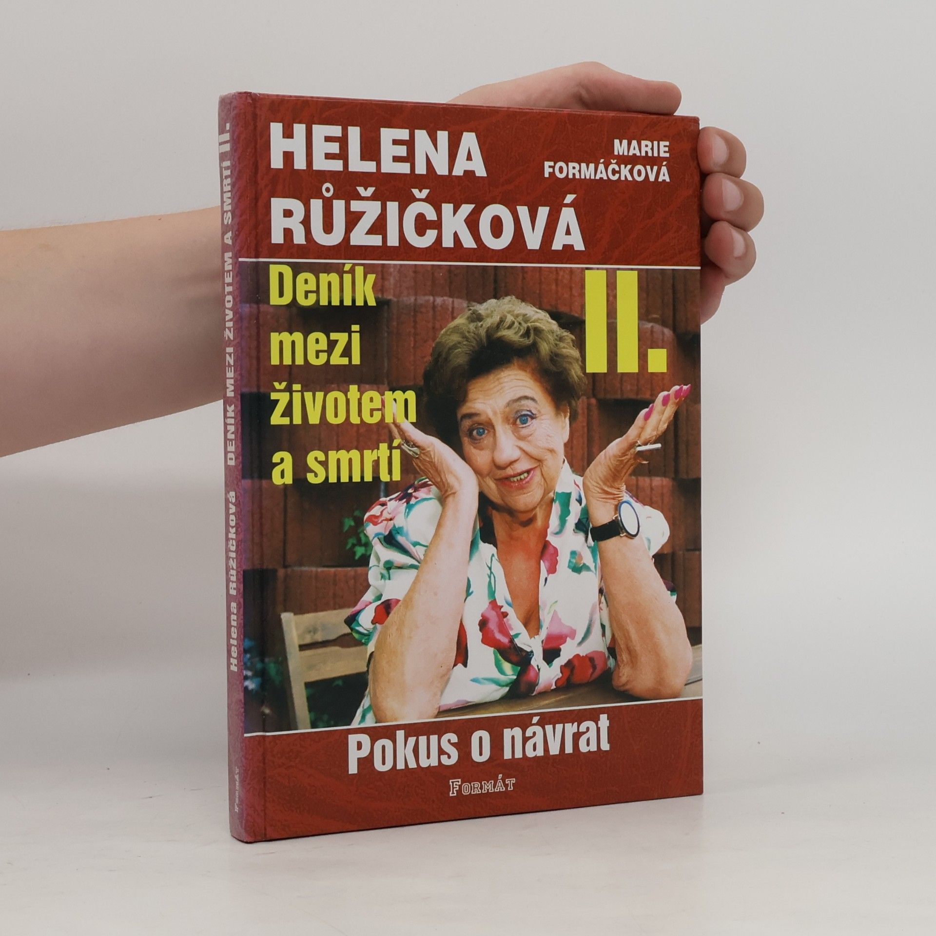 Marie Formáčková Deník mezi životem a smrtí. II., Pokus o návrat