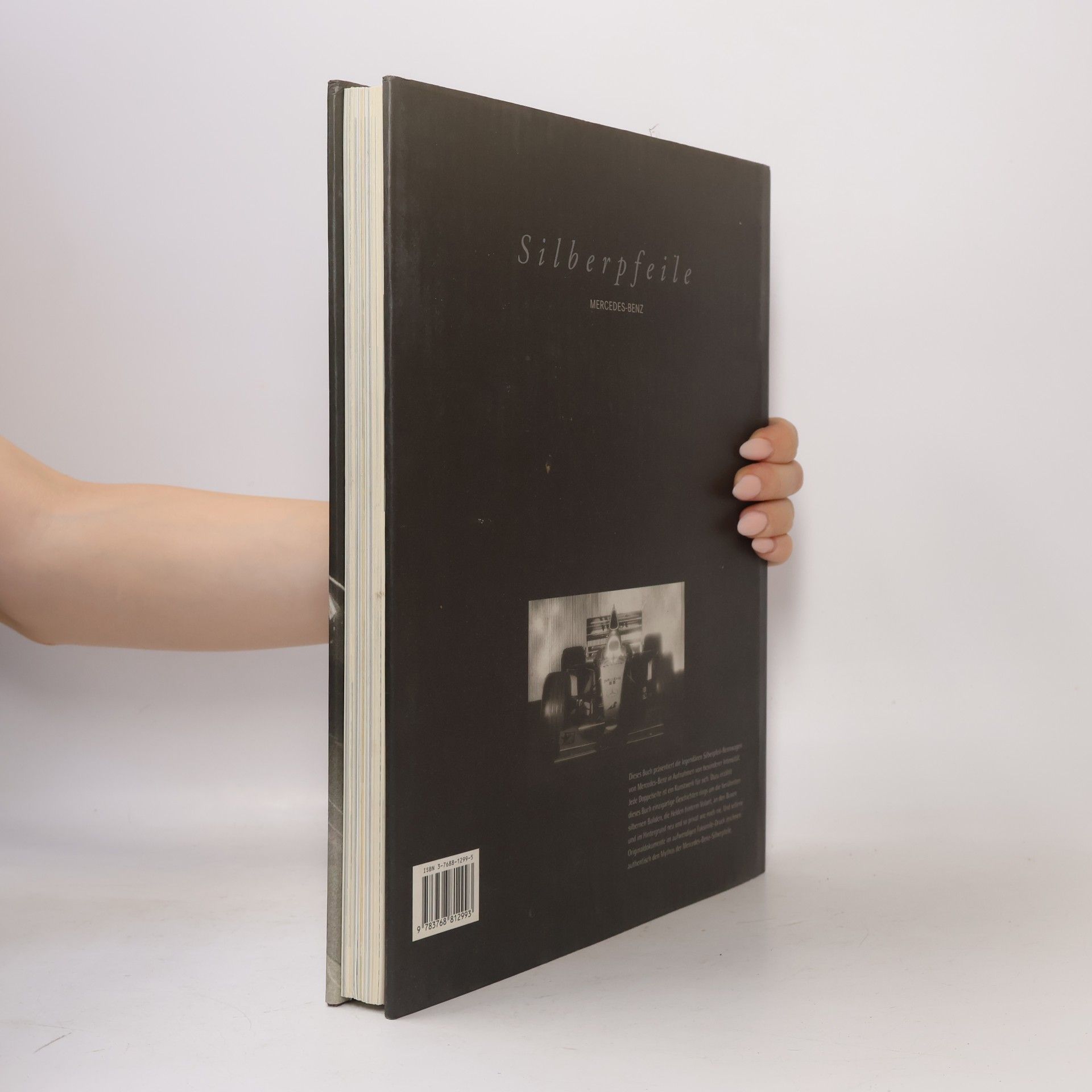 Markus Bolsinger Silberpfeile
