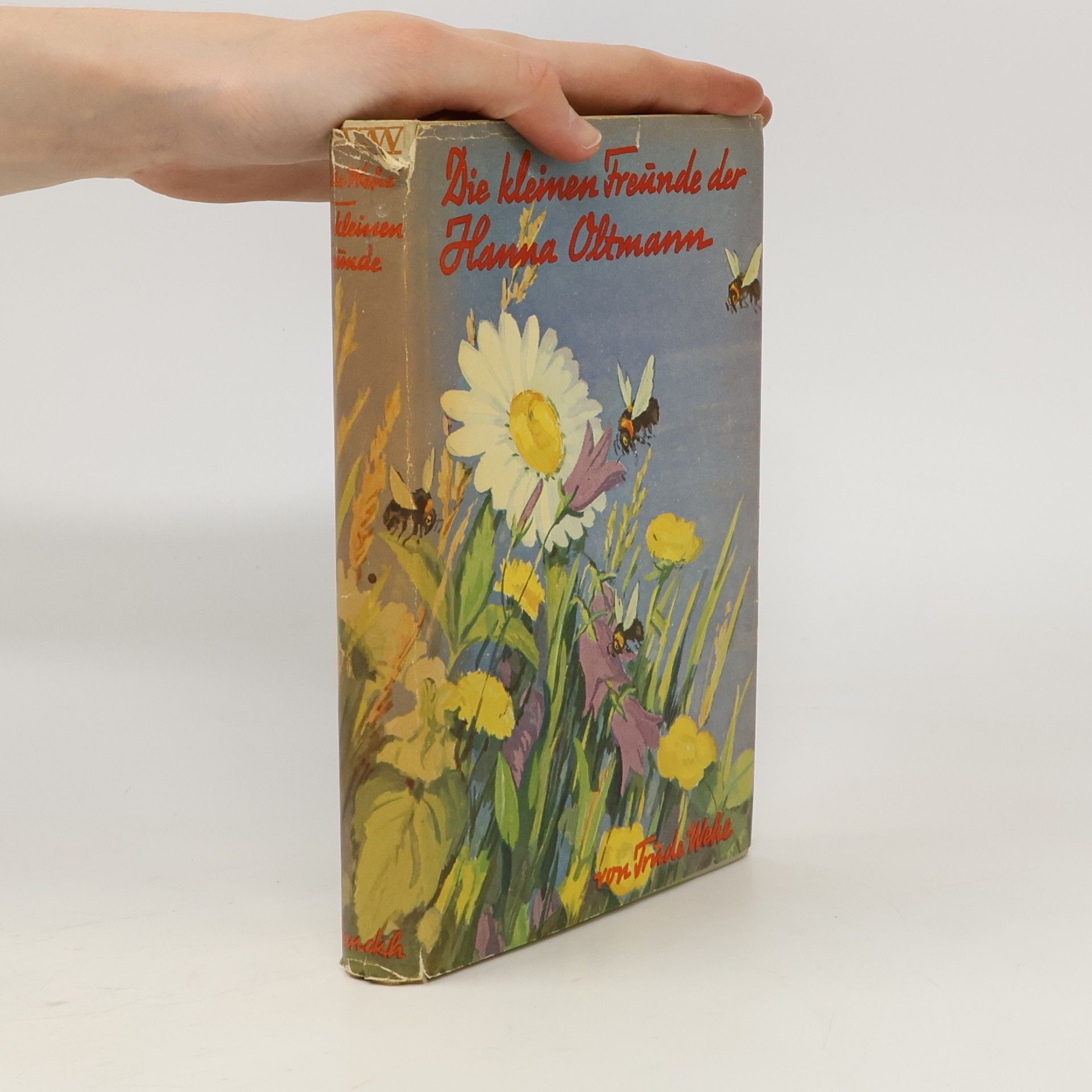 Various authors Die kleinen Freunde der Hanna Oltmann