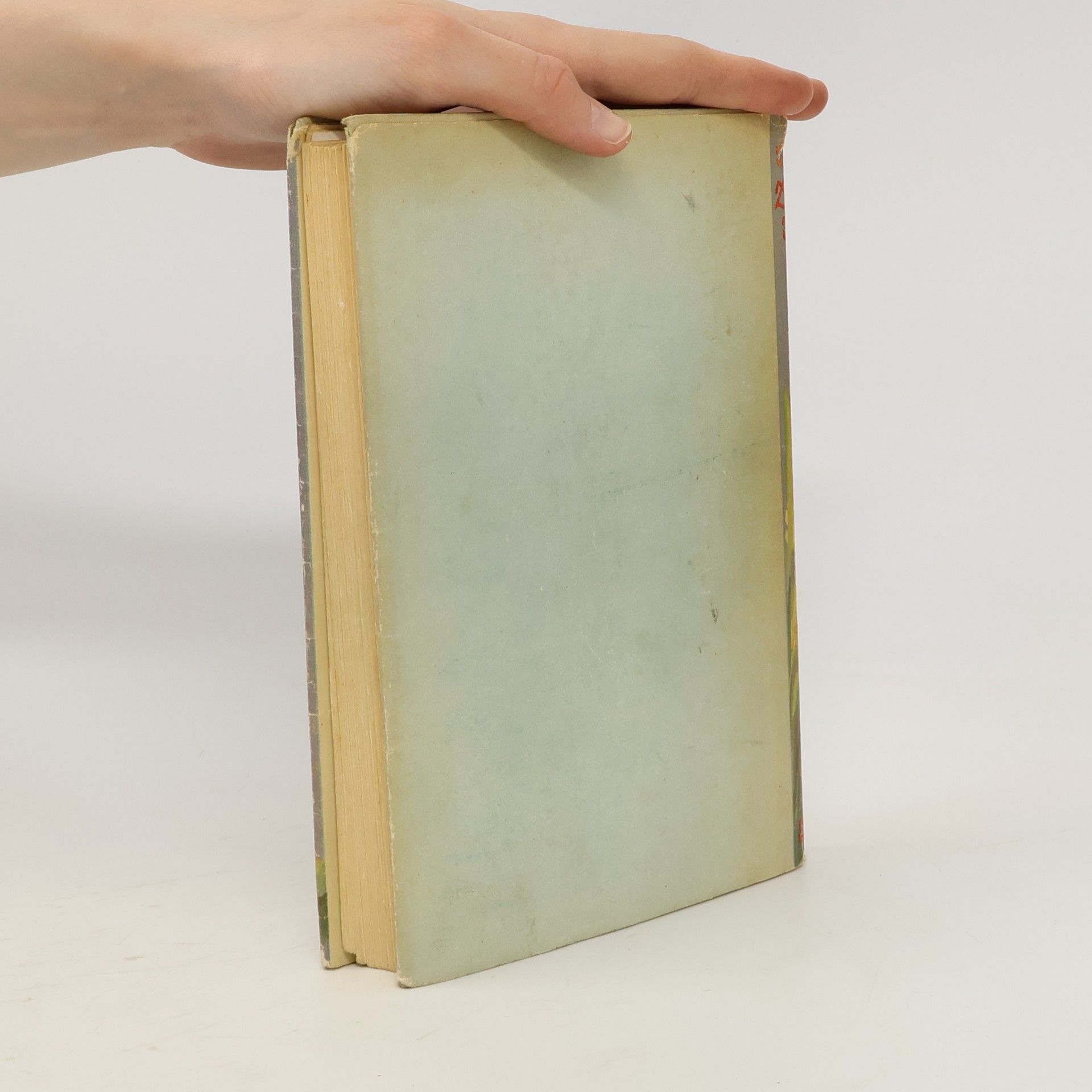 Various authors Die kleinen Freunde der Hanna Oltmann