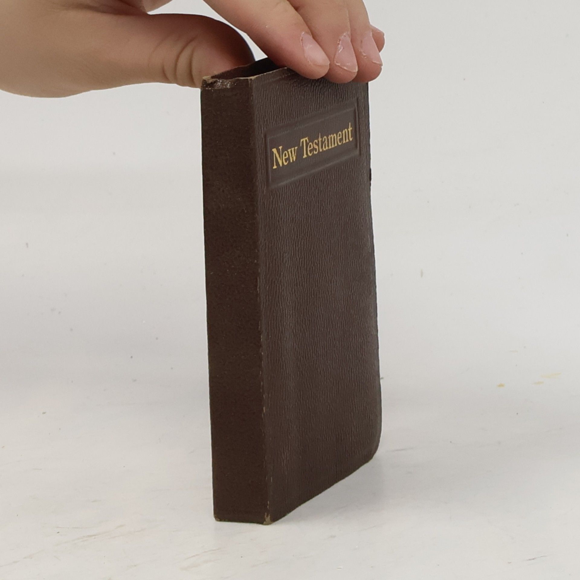 Kolektiv autorů New Testament