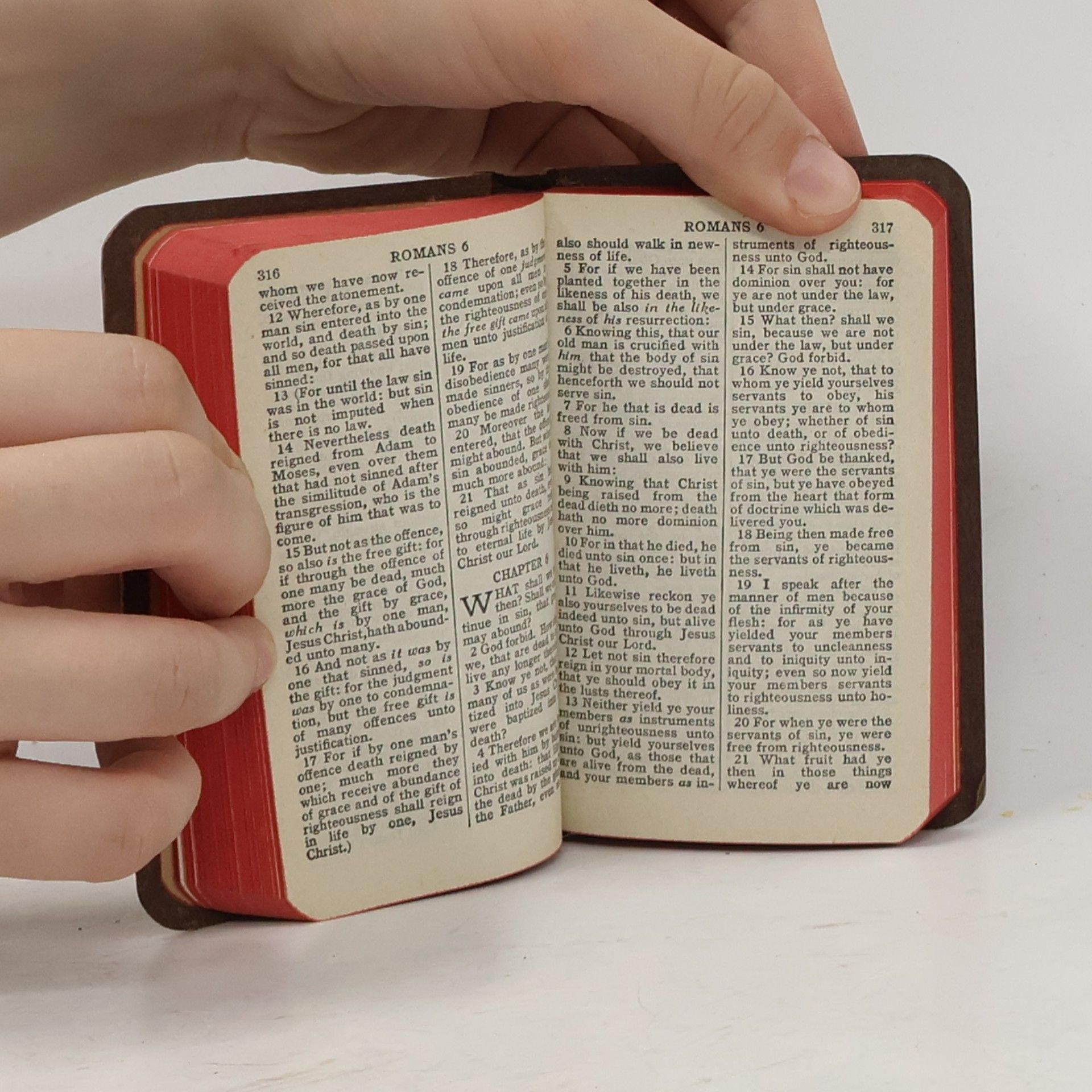 Autorenkollektiv New Testament