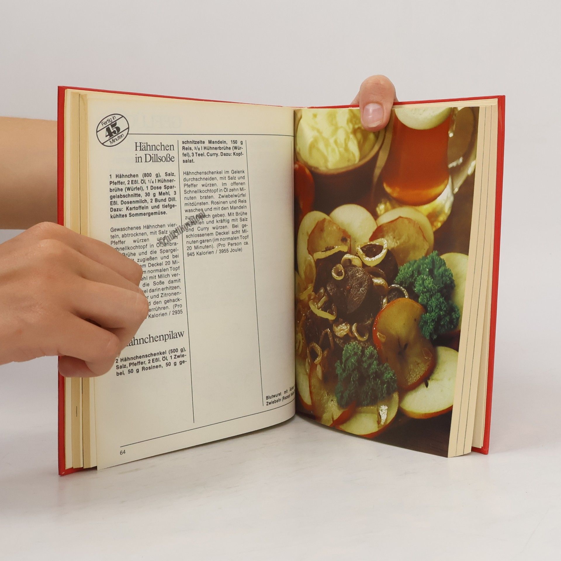 Ursula Borchert Brigitte-Schnellkochbuch