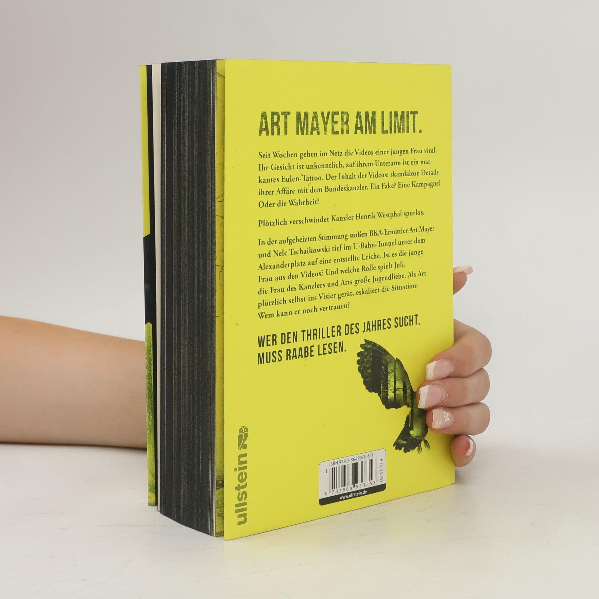 Marc Raabe Art Mayer-Serie - 4: Im Morgengrauen