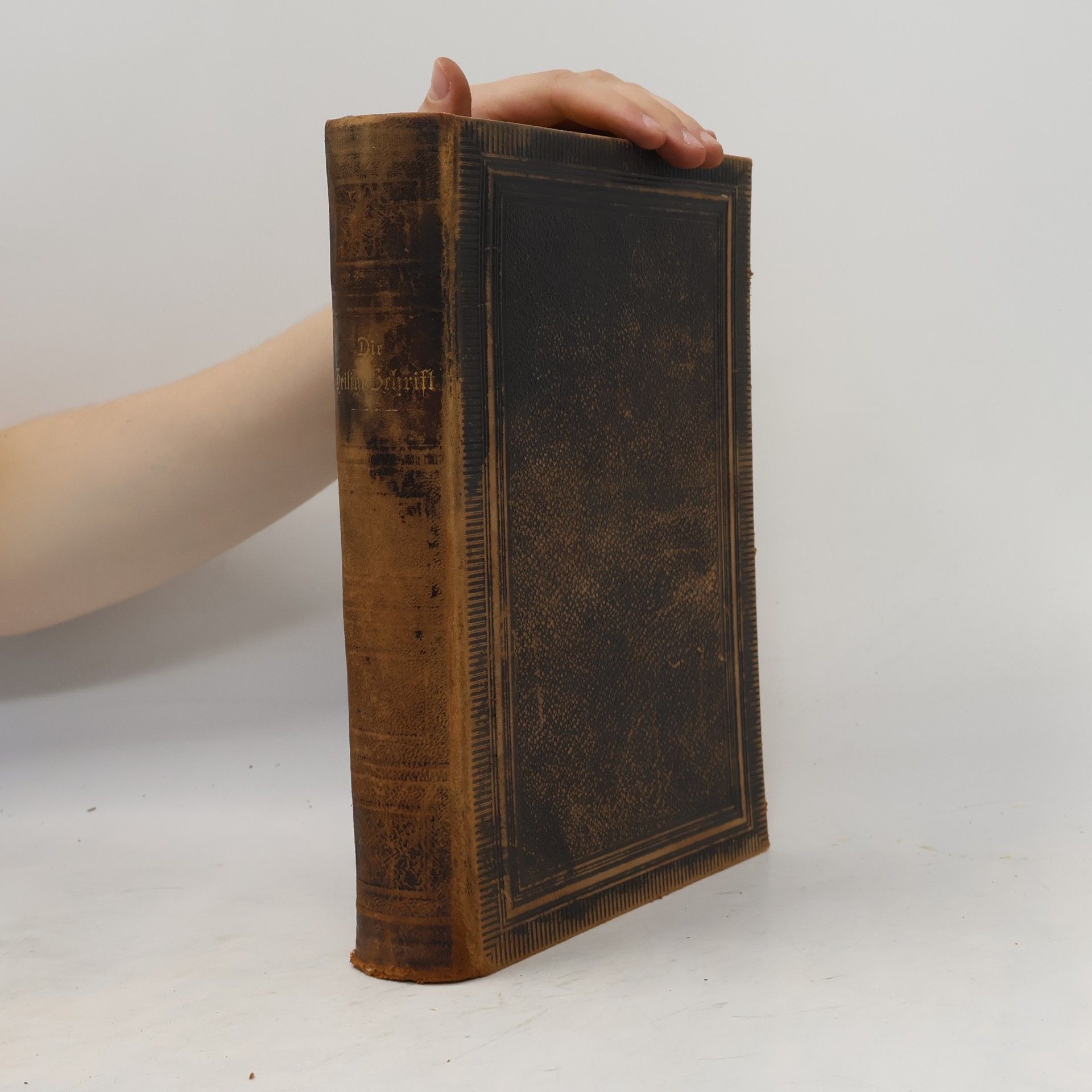 Martin Luther Die Bibel oder die ganze Heilige Schrift des Alten und Neuen Testaments