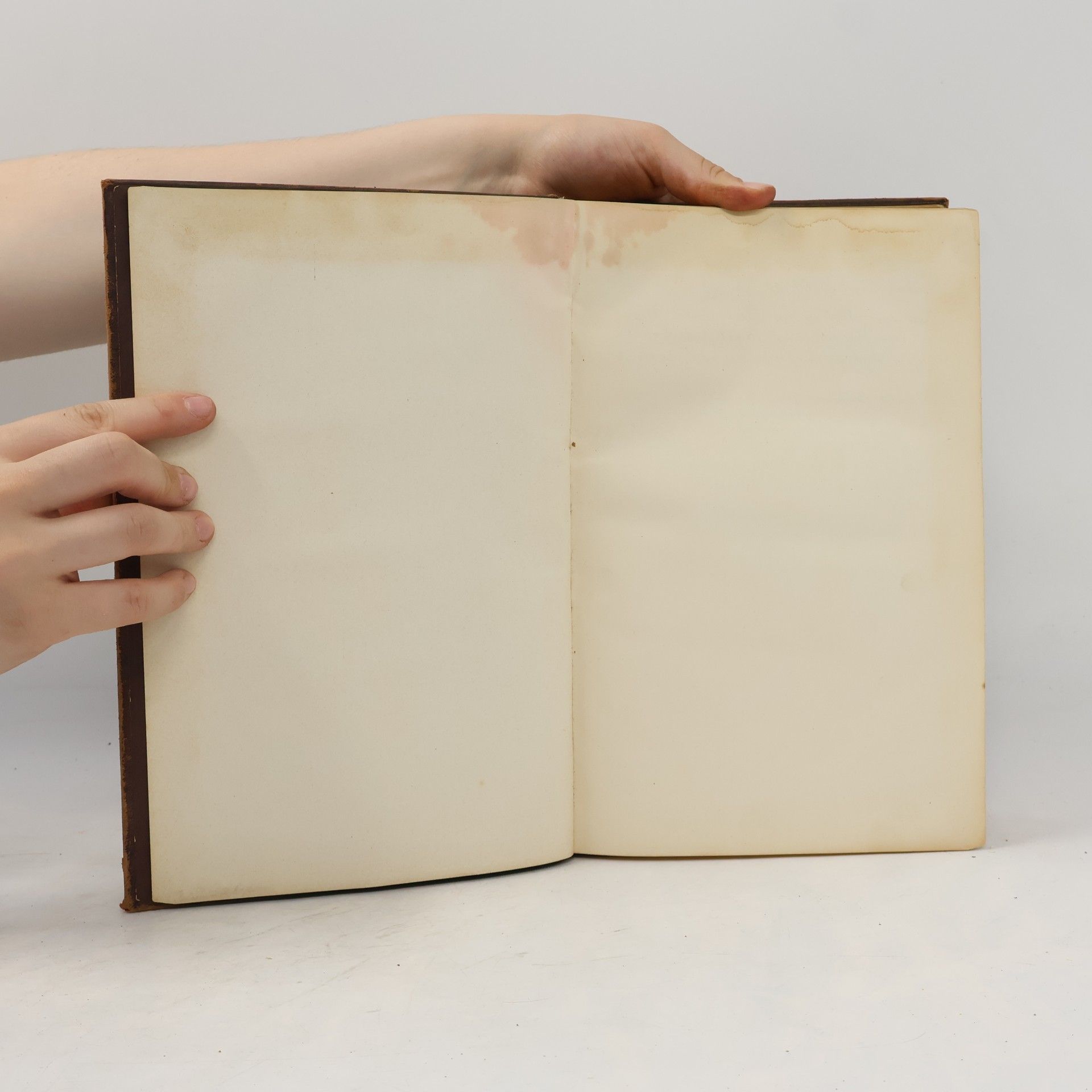 Martin Luther Die Bibel oder die ganze Heilige Schrift des Alten und Neuen Testaments