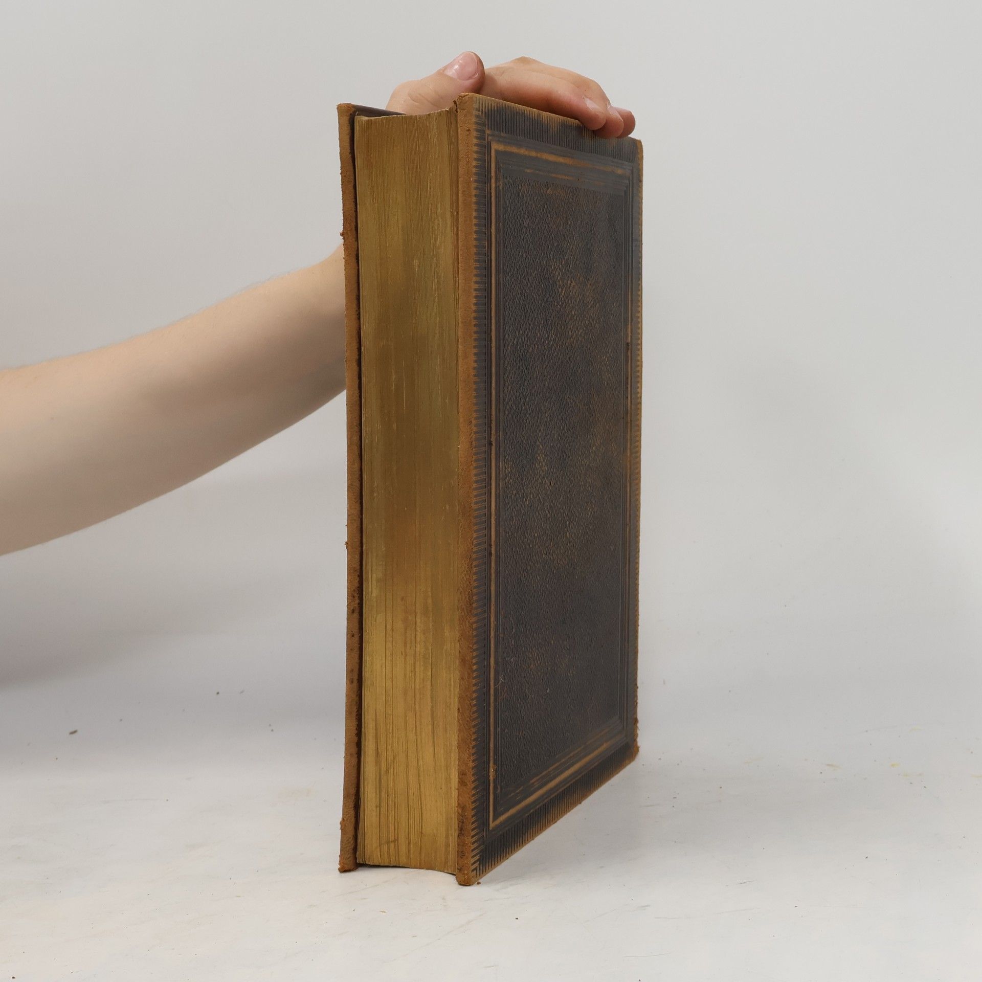 Martin Luther Die Bibel oder die ganze Heilige Schrift des Alten und Neuen Testaments