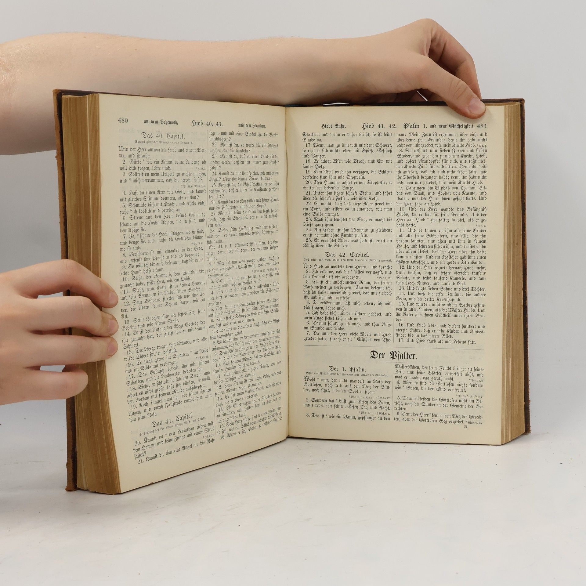 Martin Luther Die Bibel oder die ganze Heilige Schrift des Alten und Neuen Testaments