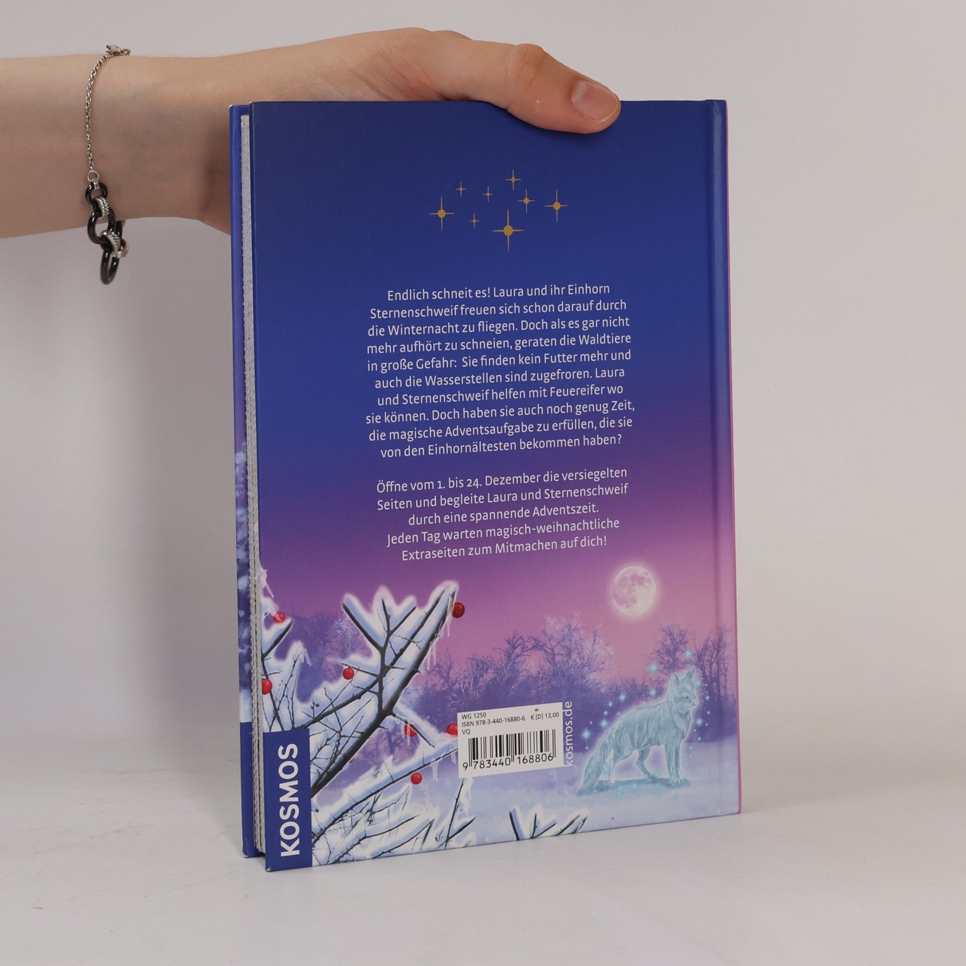 Linda Chapman Sternenschweif Adventskalender Der Eiszauber