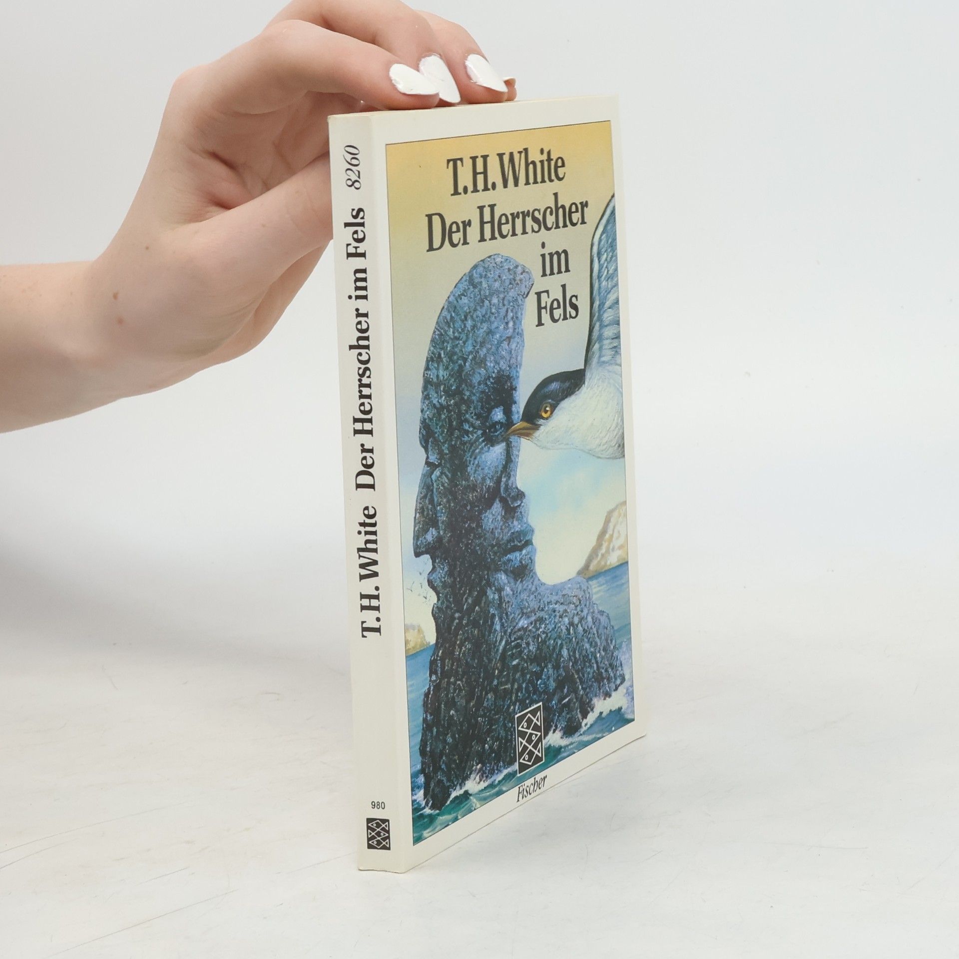 Terence Hanbury White Der Herrscher im Fels