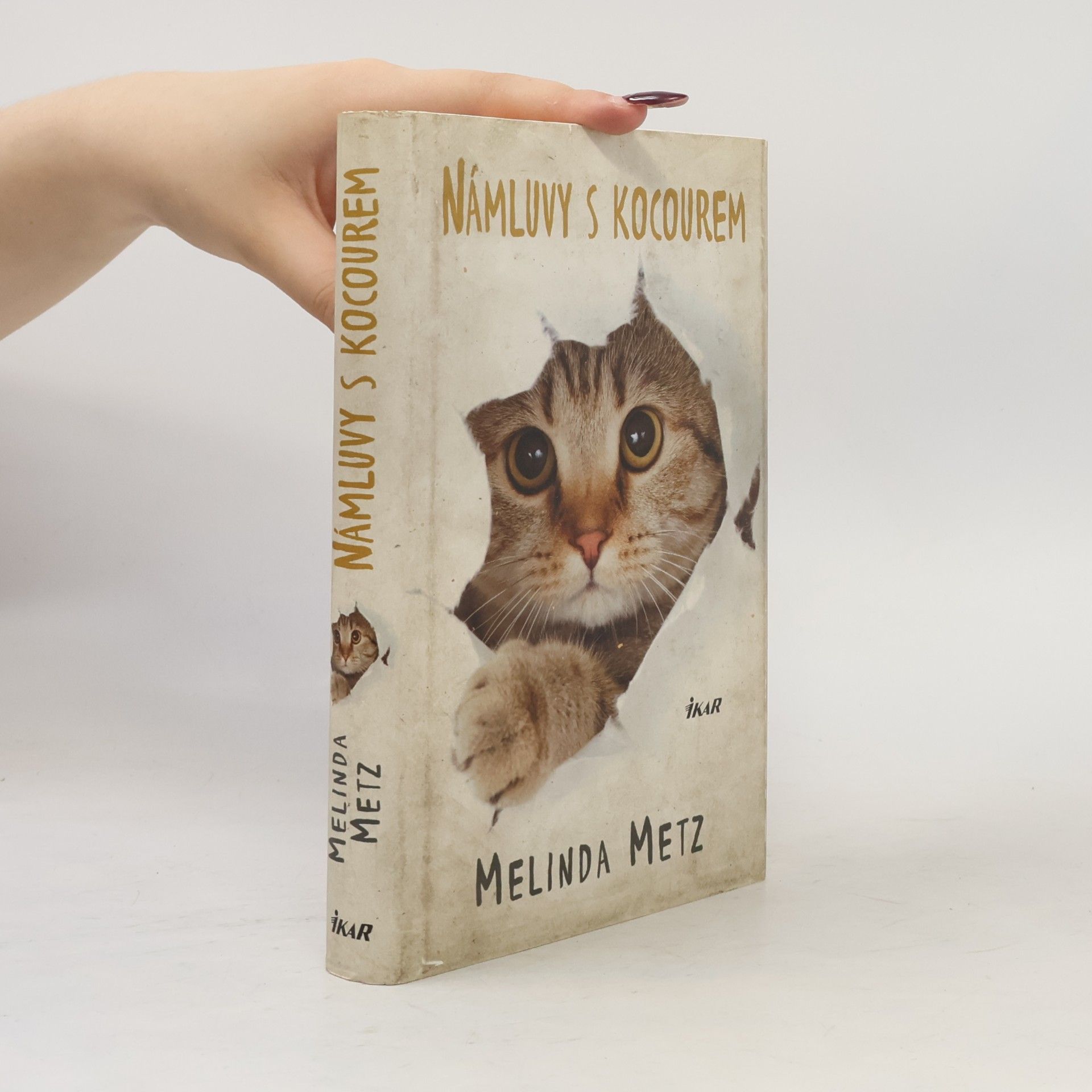 Melinda Metz Námluvy s kocourem