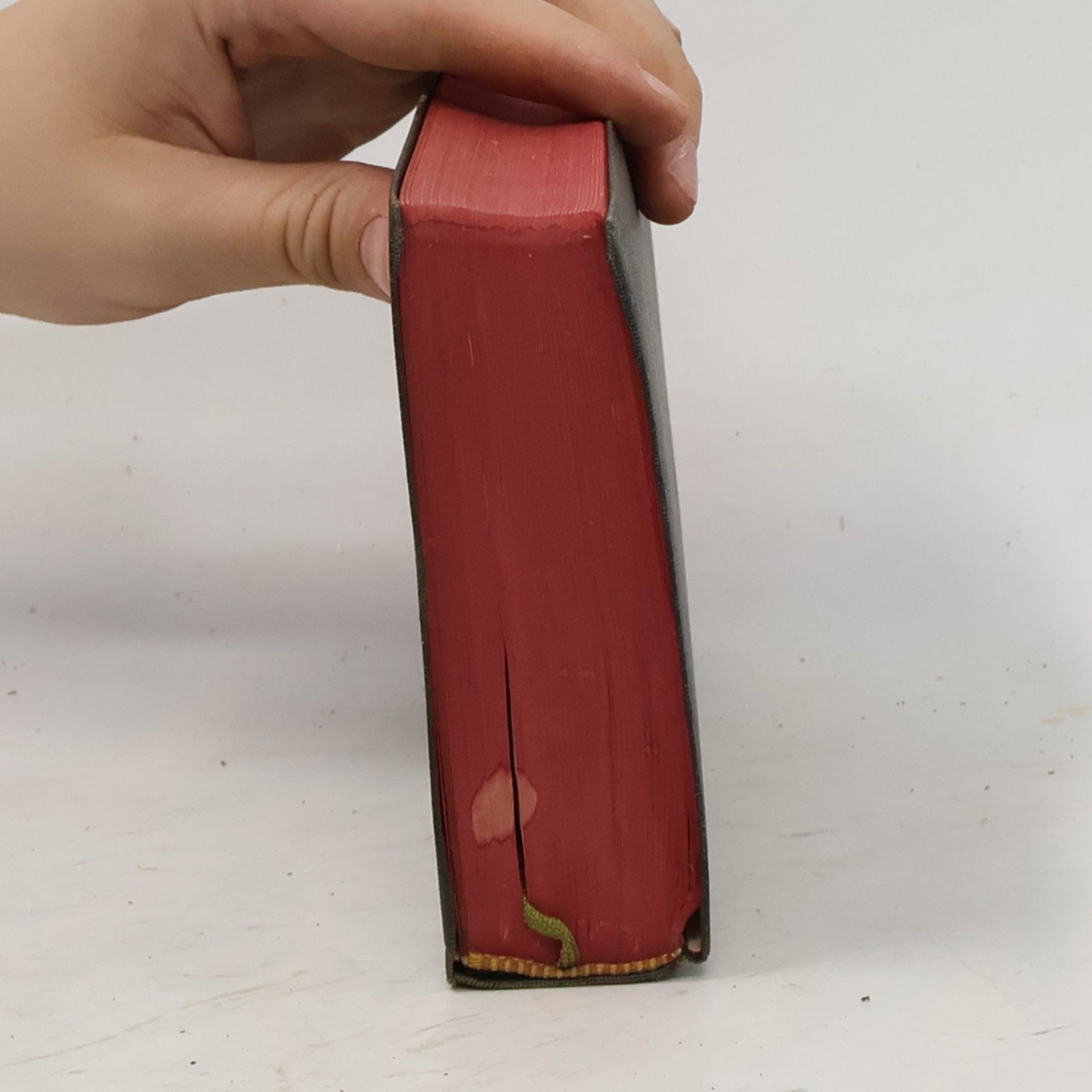 Martin Luther Die Bibel oder die ganze Heilige Schrift des Alten und Neuen Testaments