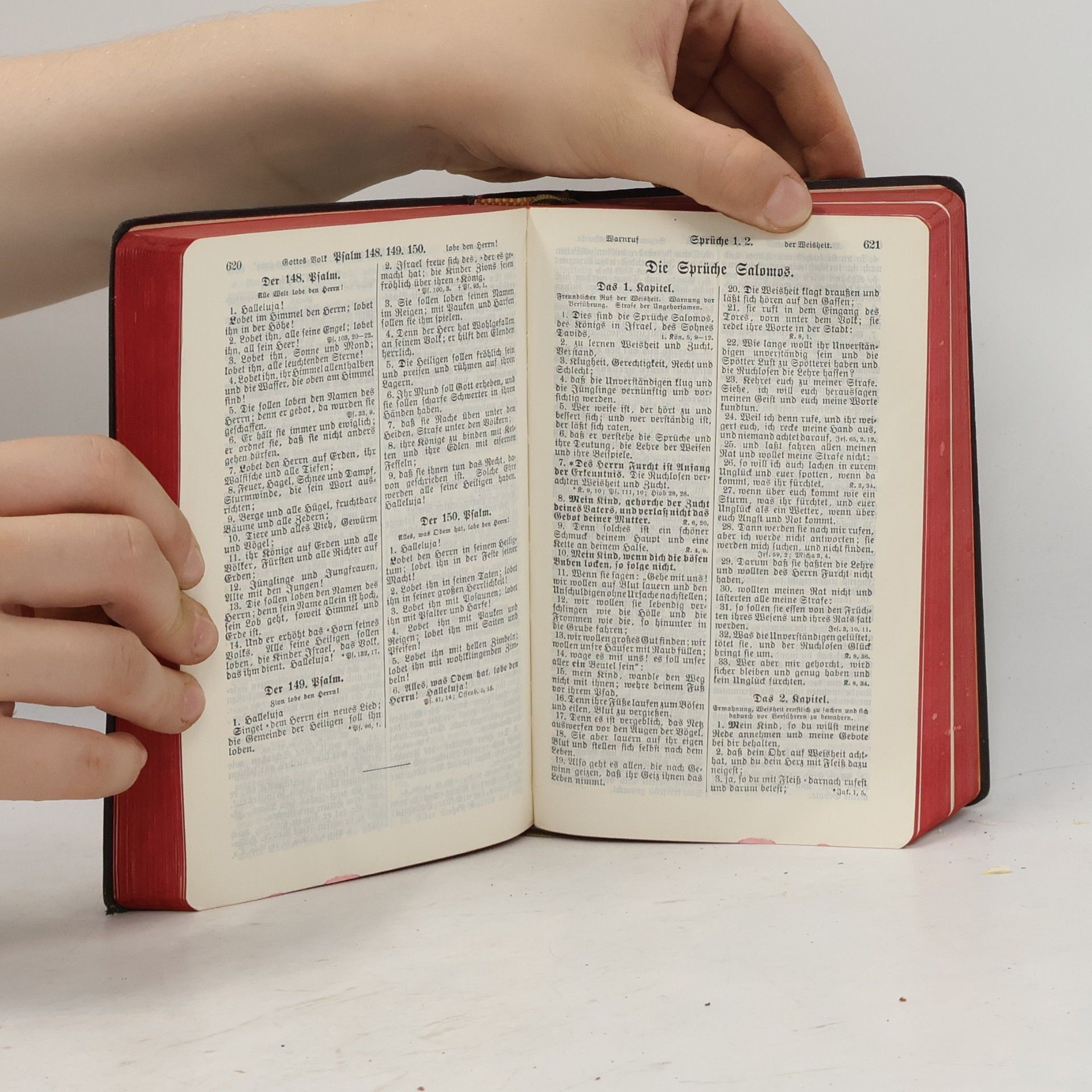 Martin Luther Die Bibel oder die ganze Heilige Schrift des Alten und Neuen Testaments