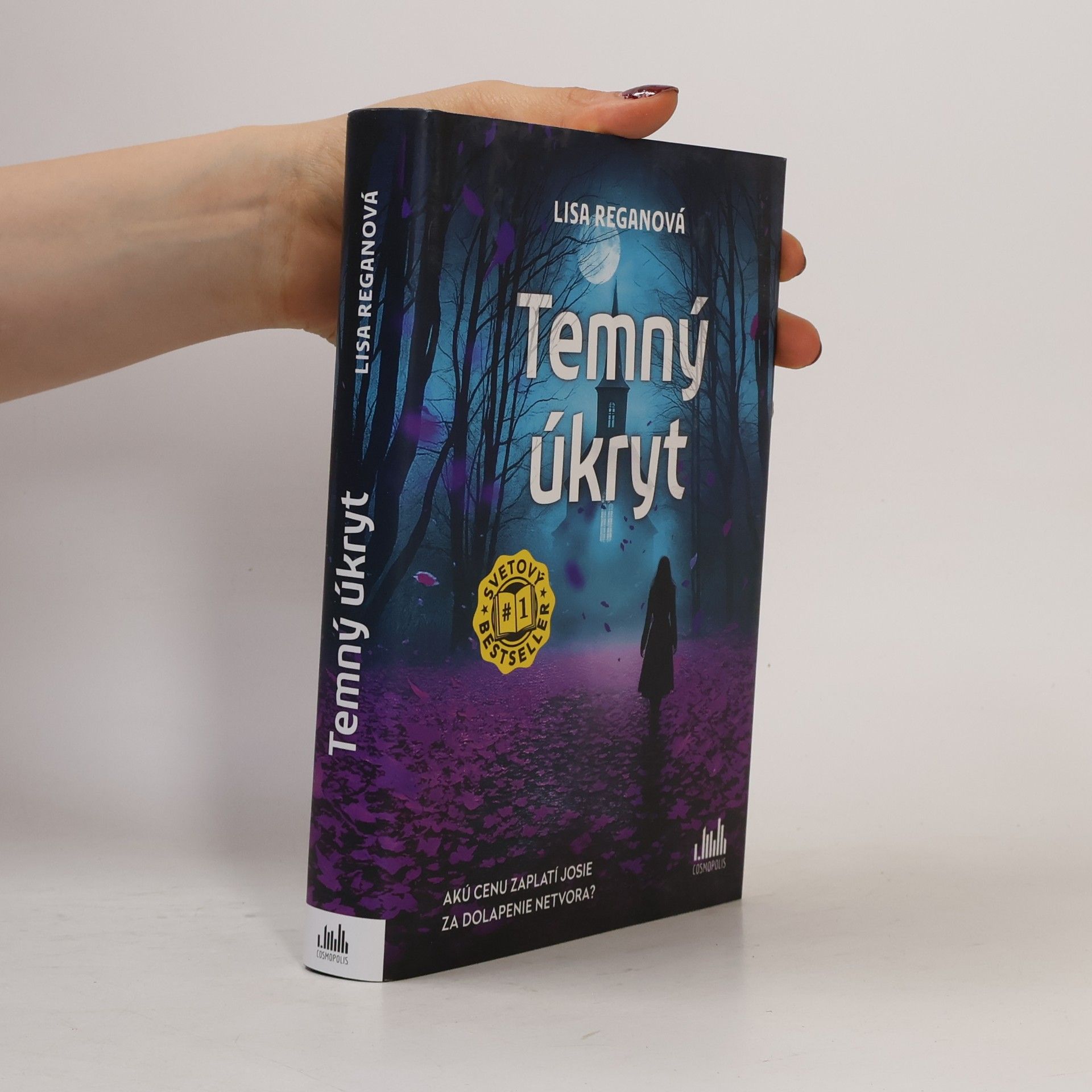 Lisa Regan Temný úkryt