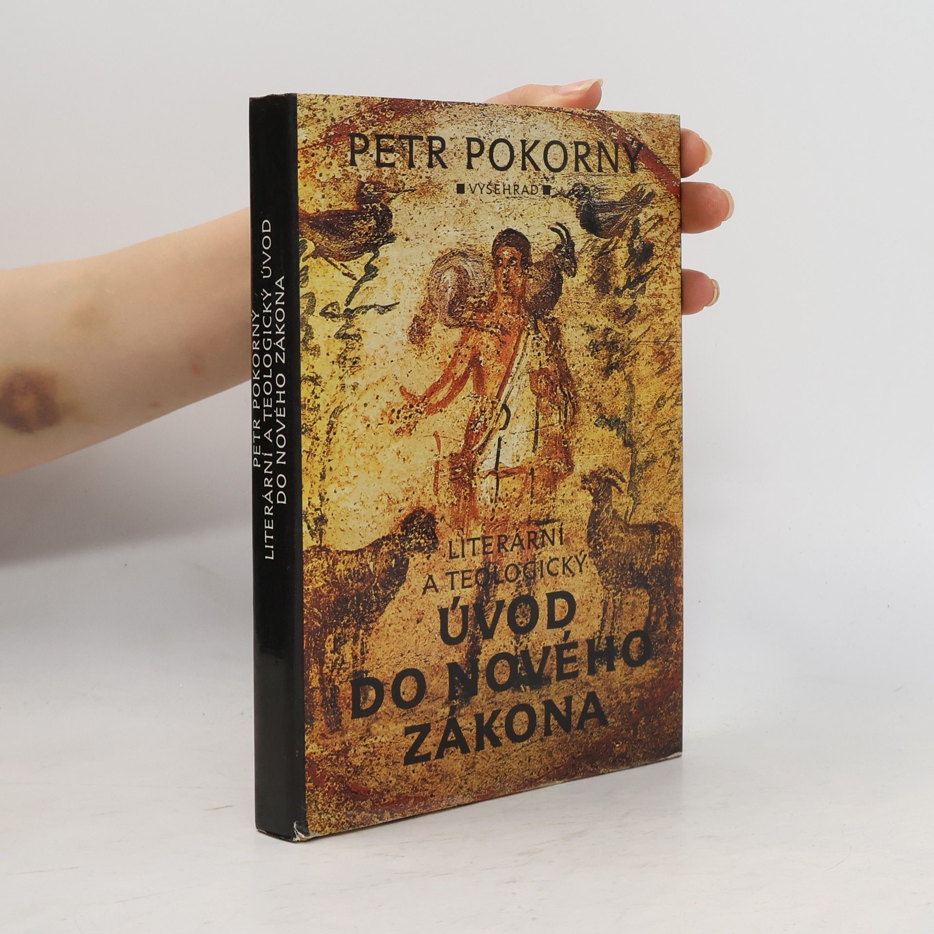 Petr Pokorný Literární a teologický úvod do Nového zákona