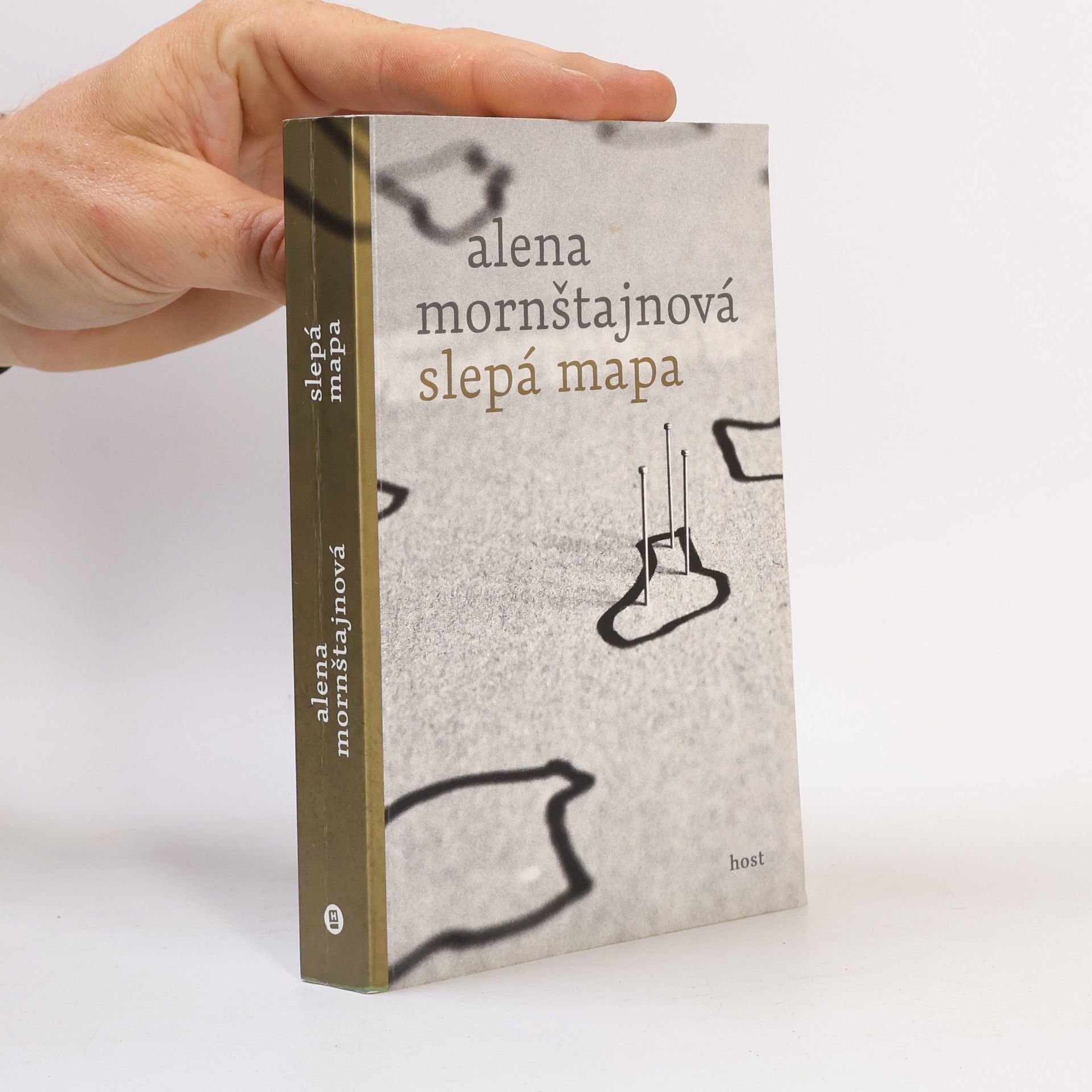 Alena Mornštajnová Slepá mapa