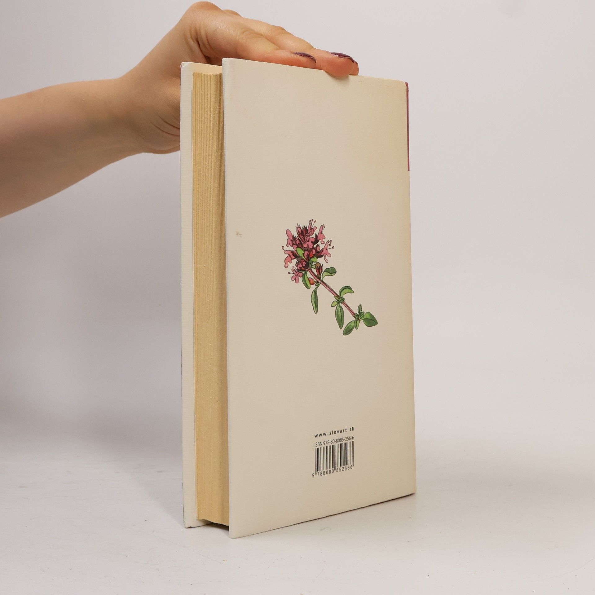 Jane Austen Rozum a cit
