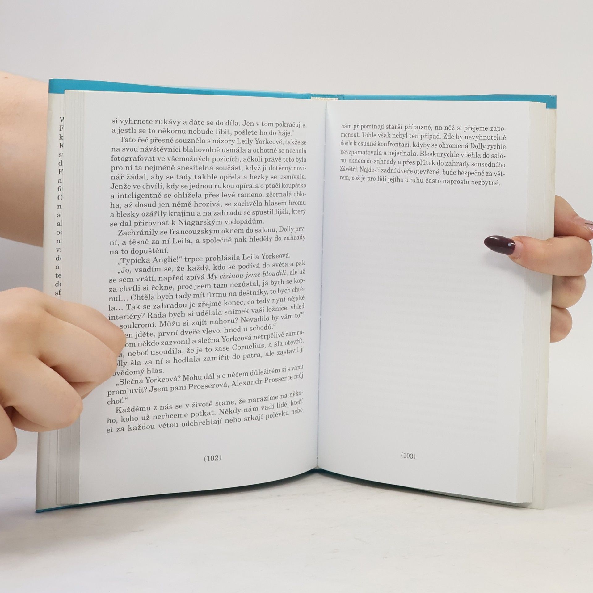 Pelham Wodehouse Velká ložnicová loupež