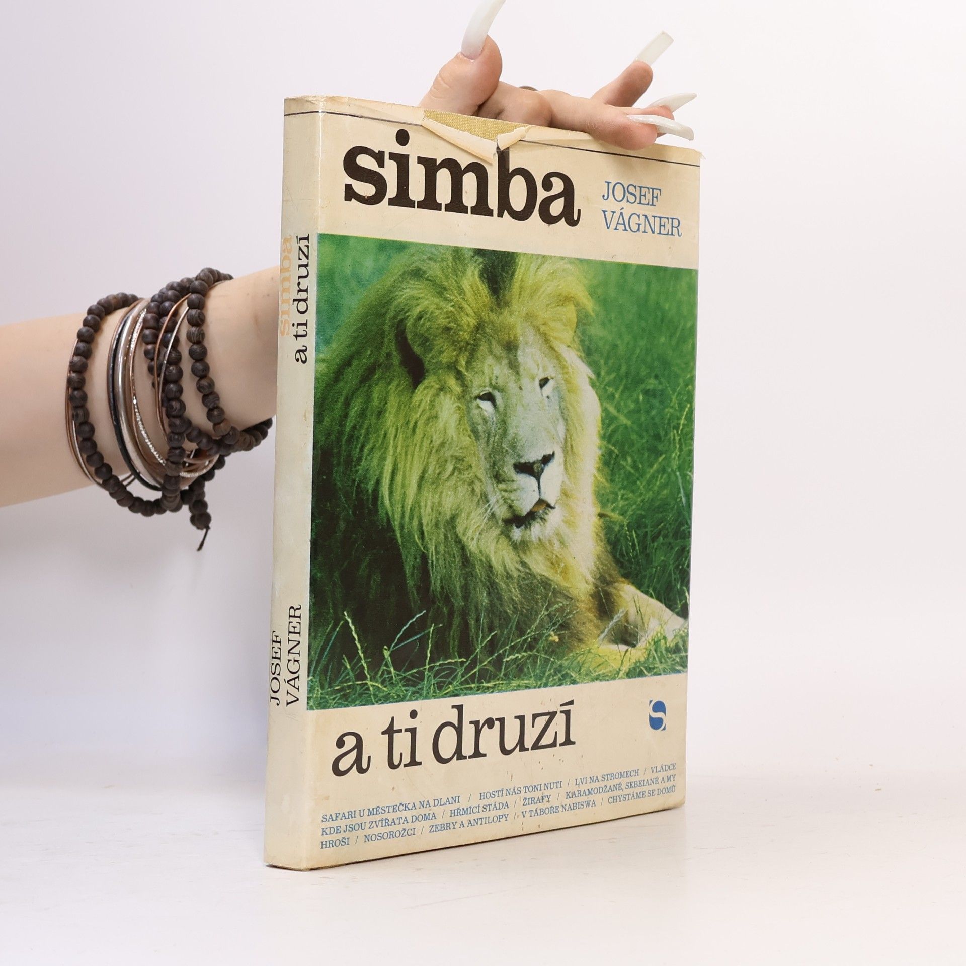 Simba a ti druzí