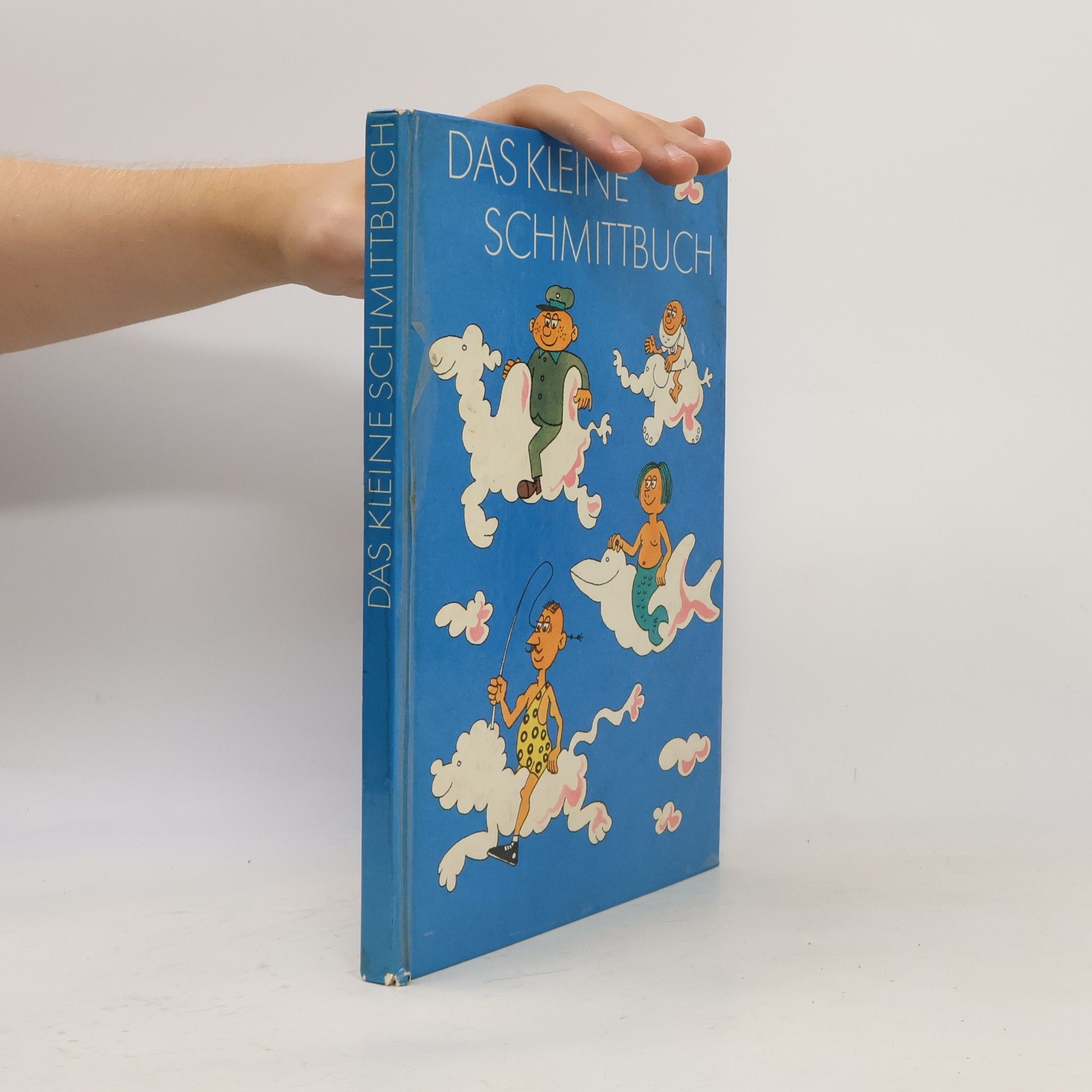 Autorenkollektiv Das kleine schmittbuch