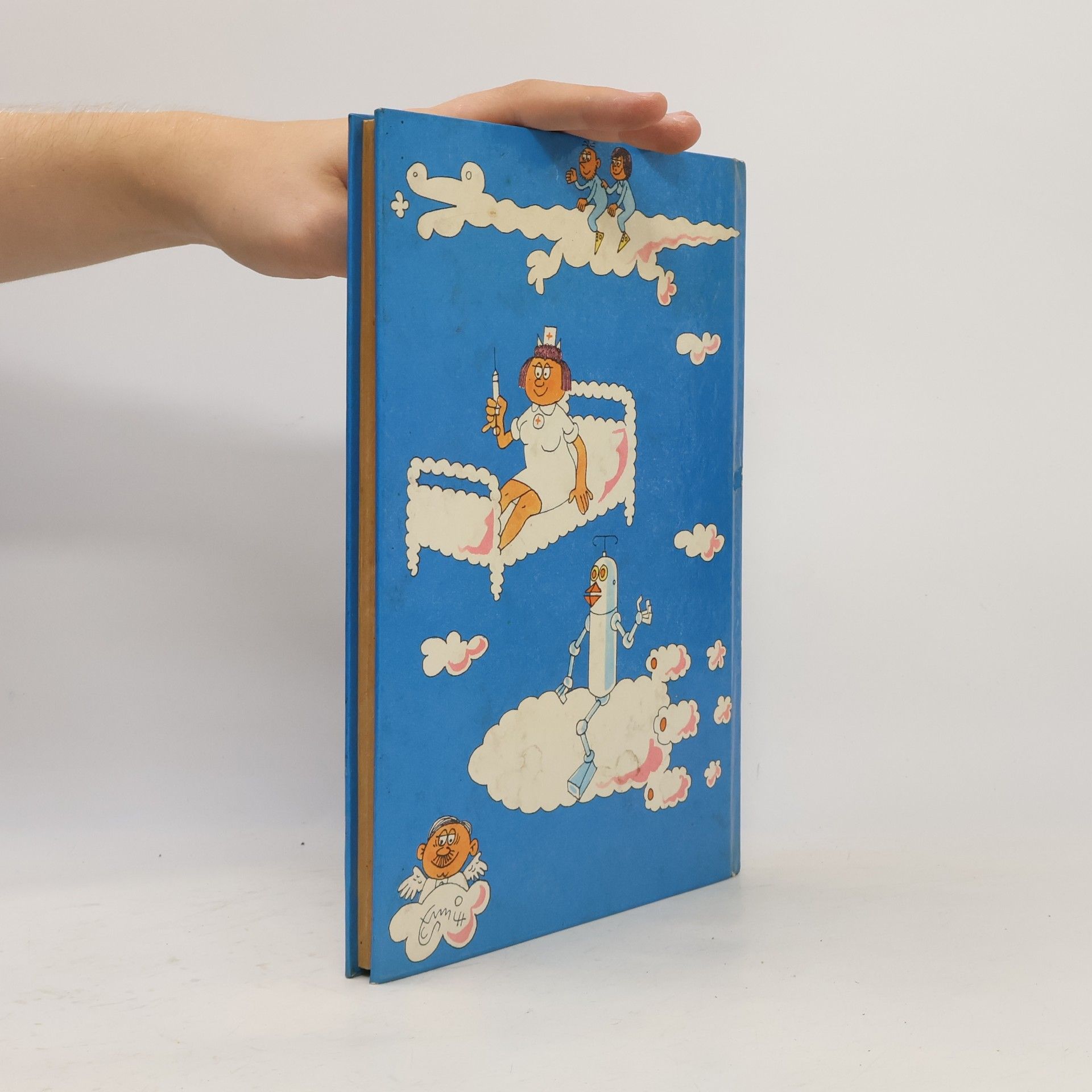 Autorenkollektiv Das kleine schmittbuch