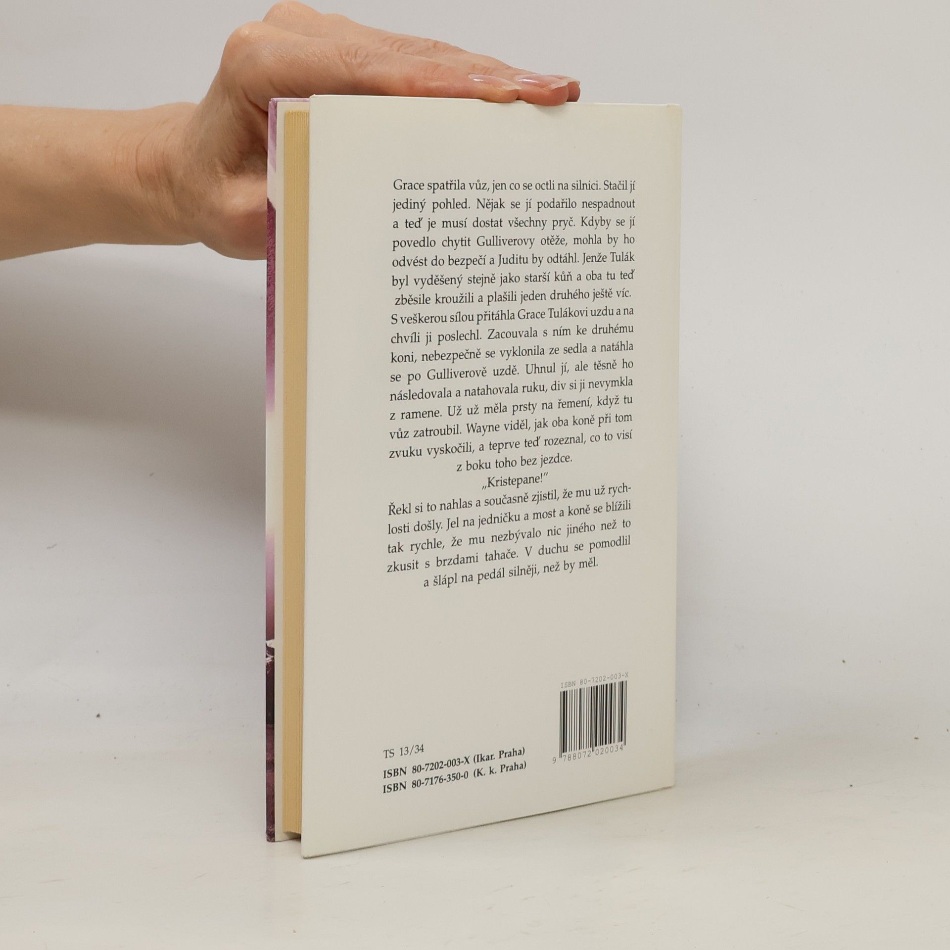 Nicholas Evans Zaříkávač koní