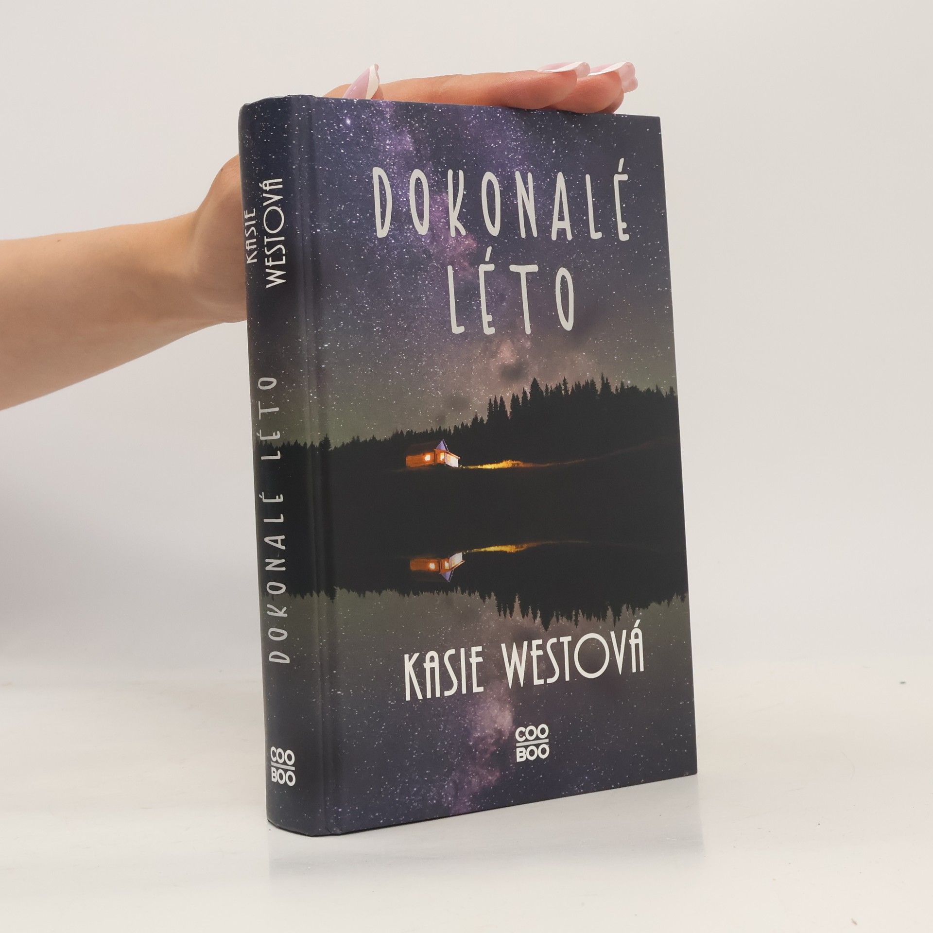 Kasie West Dokonalé léto