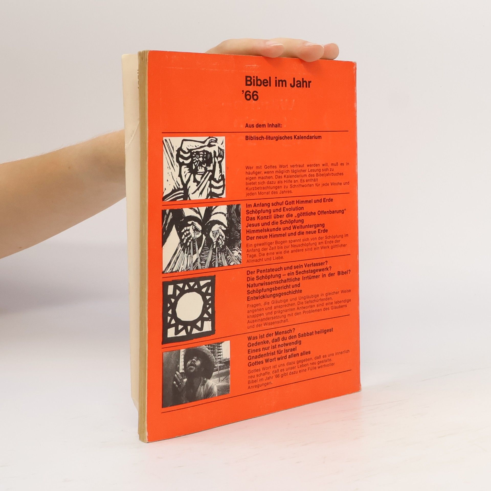 Autorenkollektiv Bibel im Jahr '66