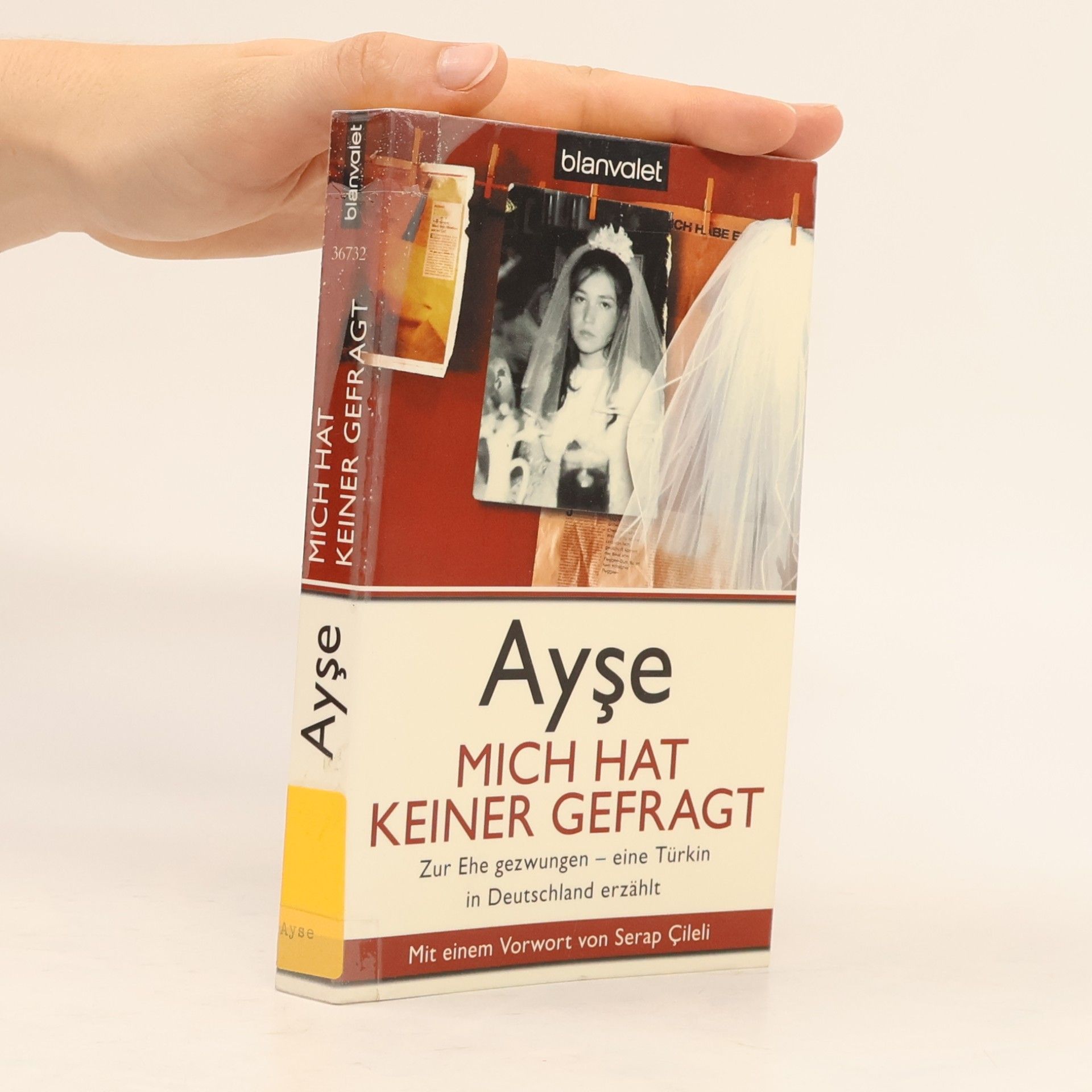 Ays e. Mich hat keiner gefragt