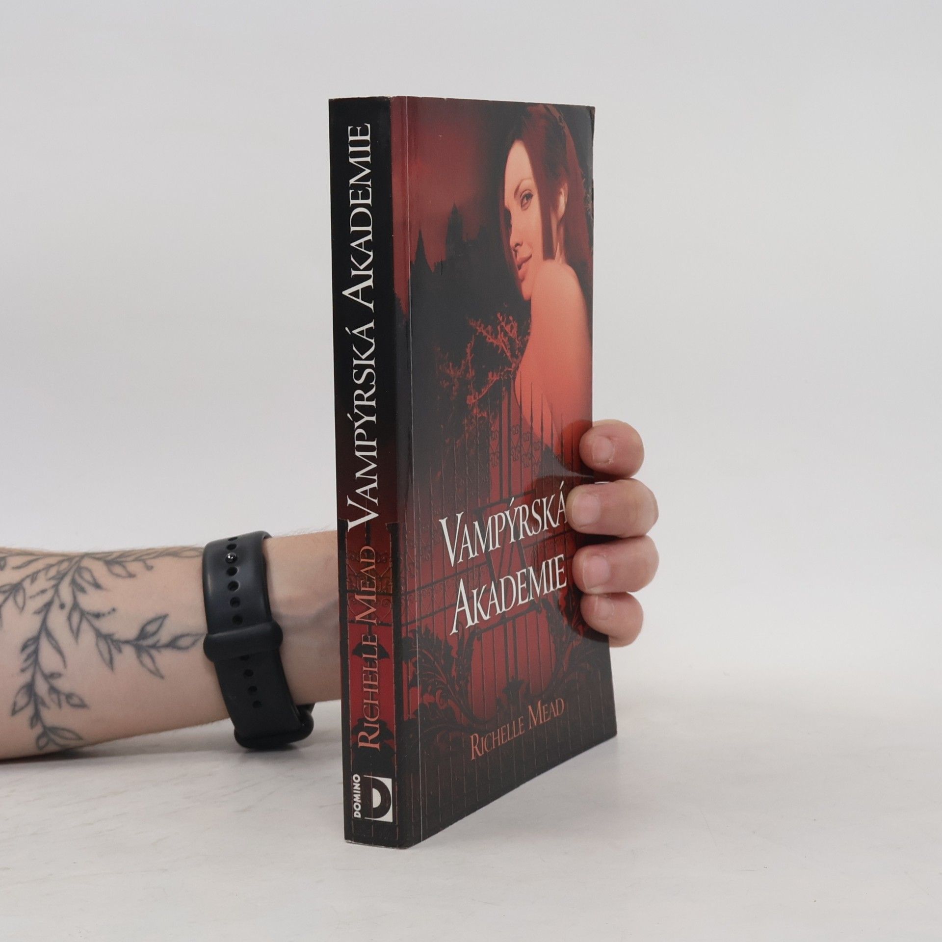 Richelle Mead Vampýrská akademie