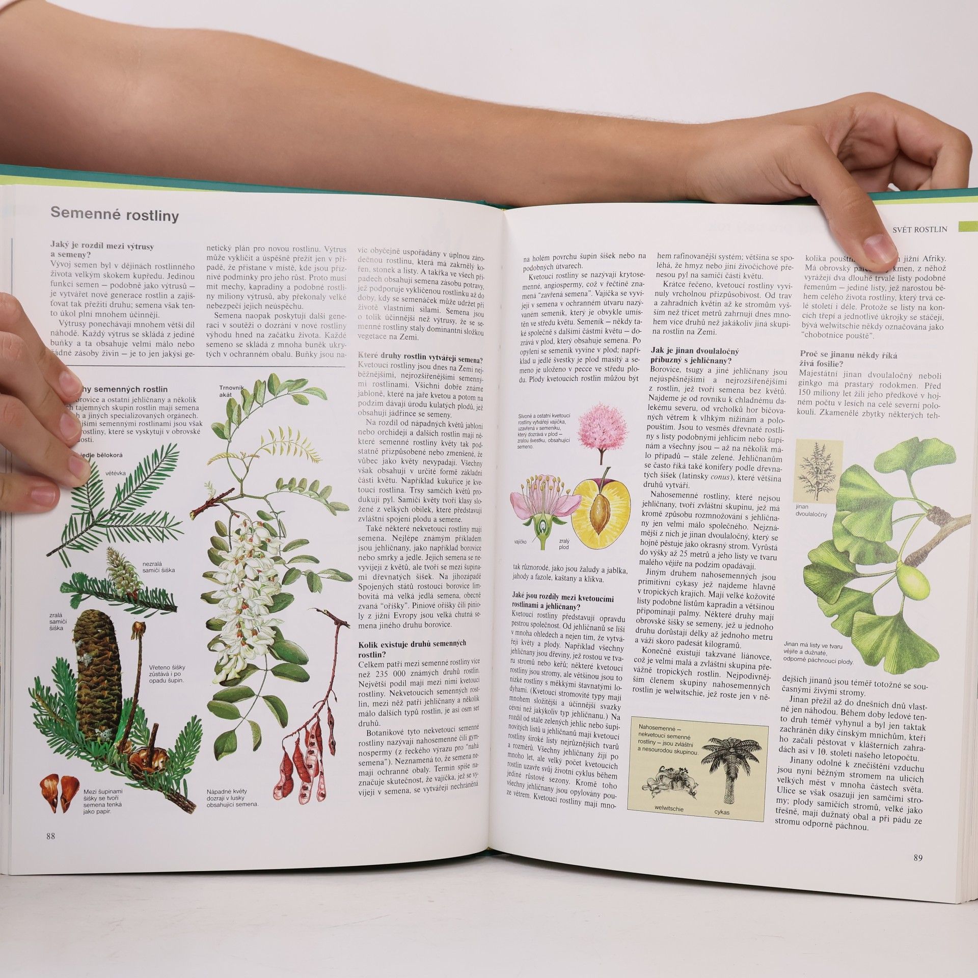 Various authors ABC přírody. Svět v otázkách a odpovědích
