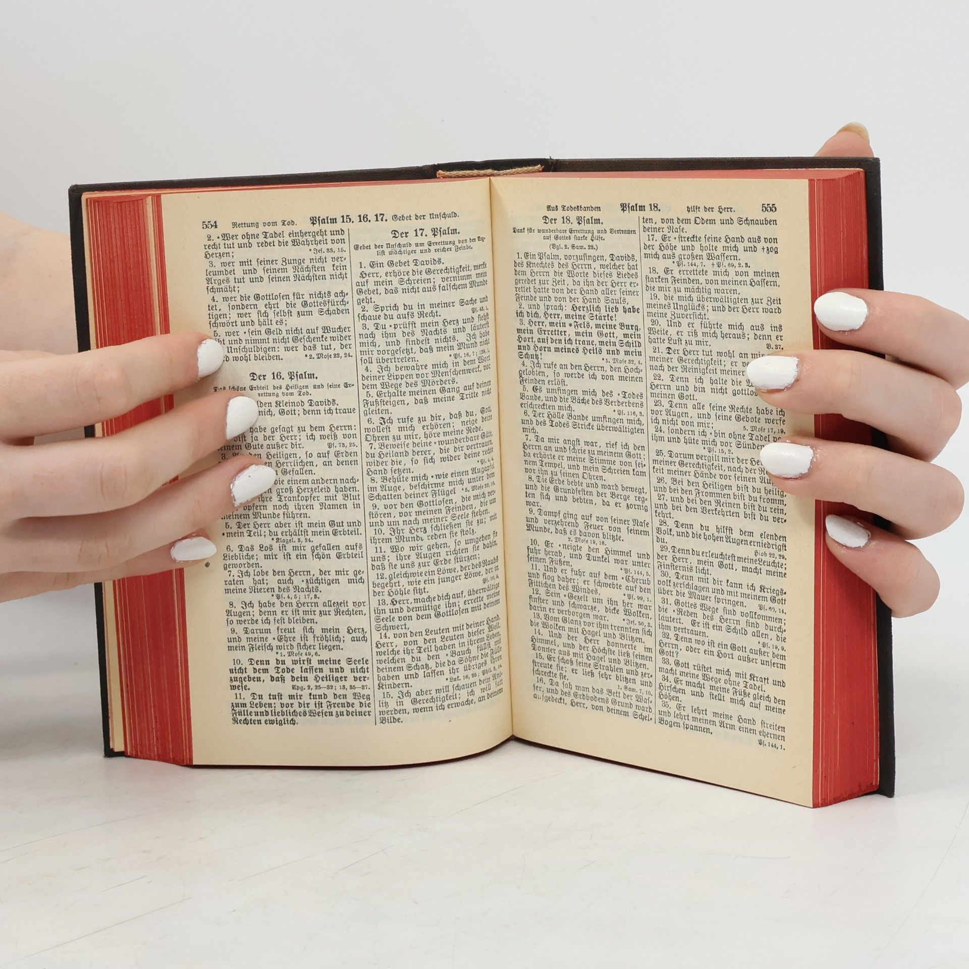 Martin Luther Die Heilige Schrift