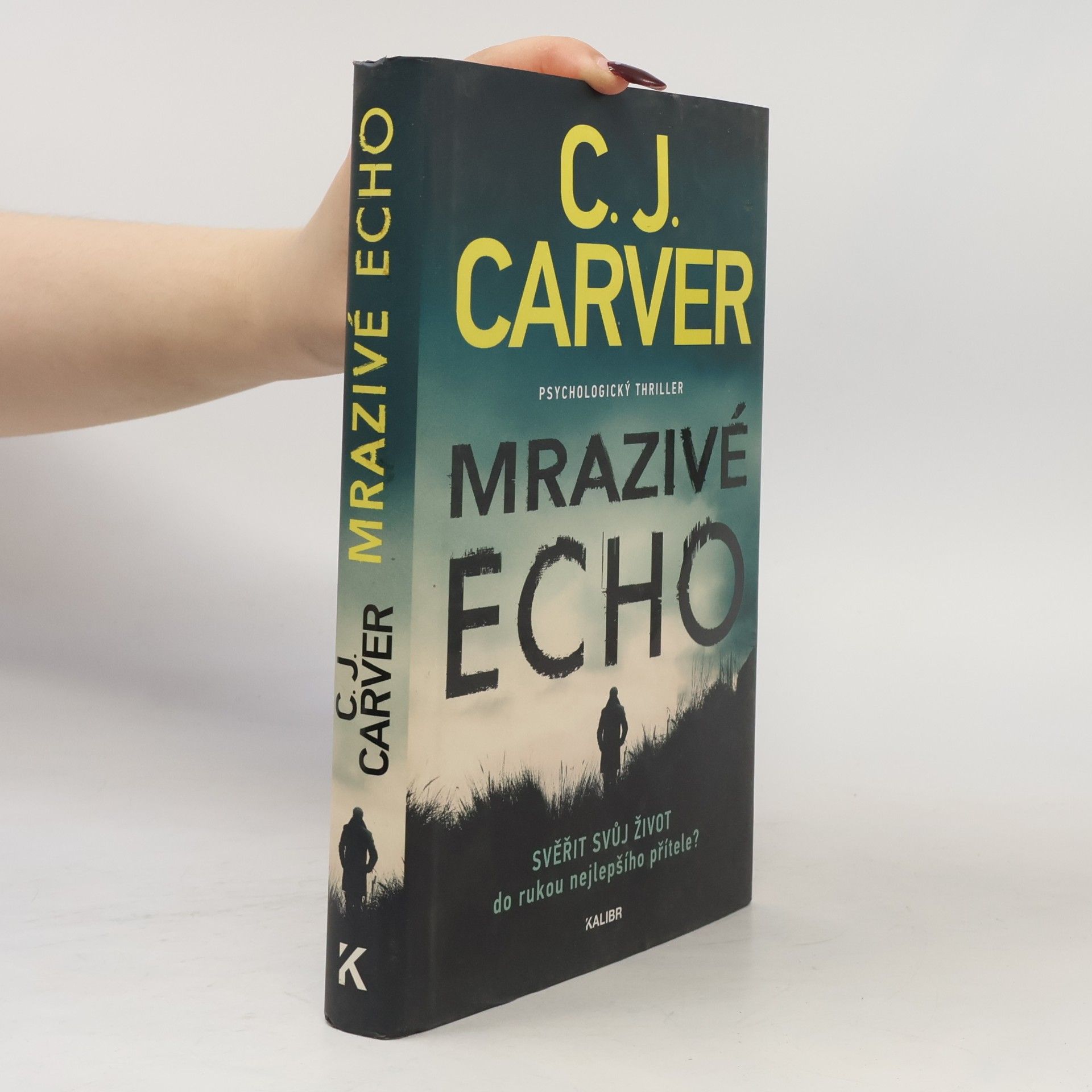 Ivana Štěpánková Mrazivé echo