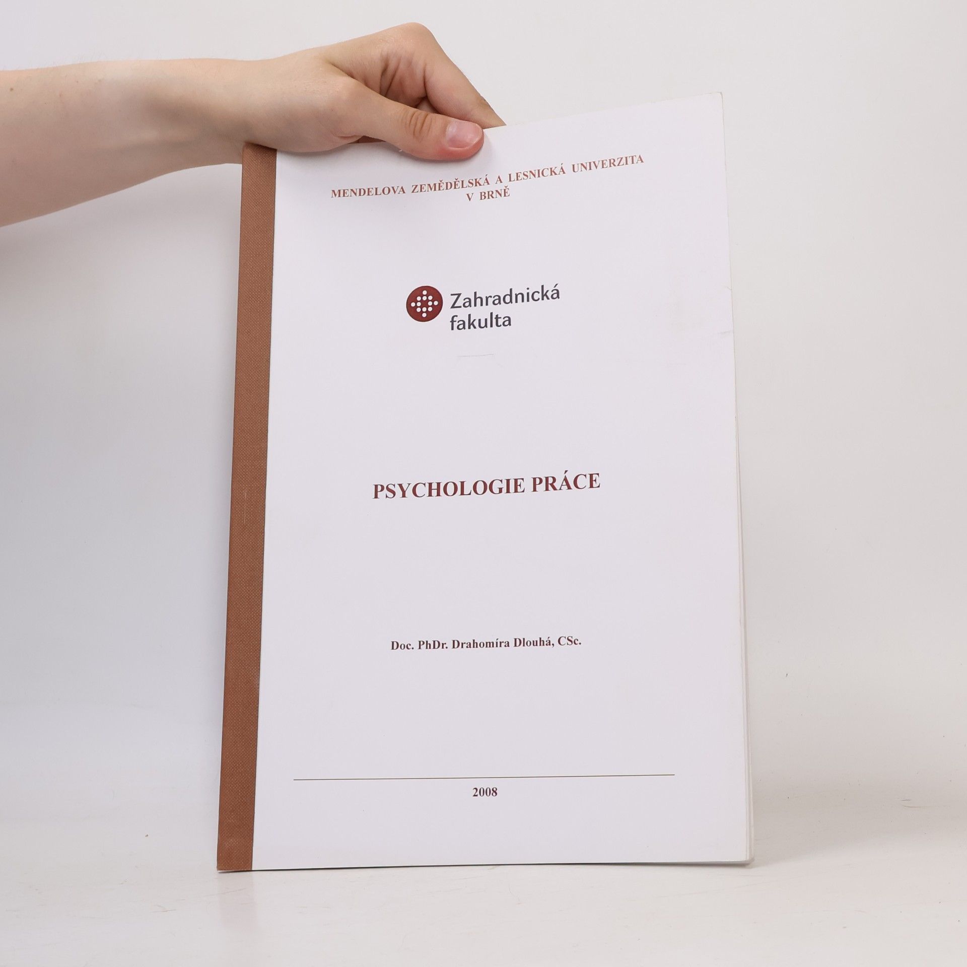 Drahomíra Dlouhá Psychologie práce