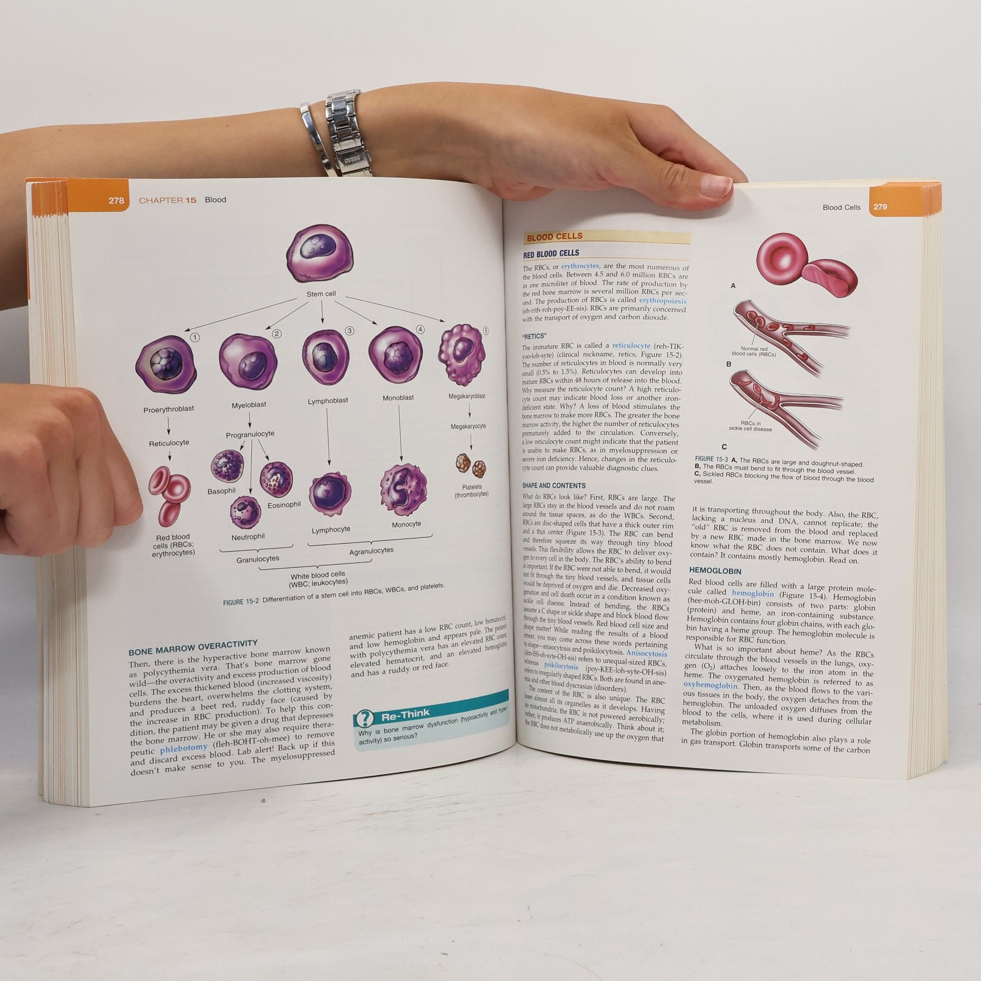 Barbara Herlihy The Human Body in Health and Illness - 4th Edition, Soft Cover Version