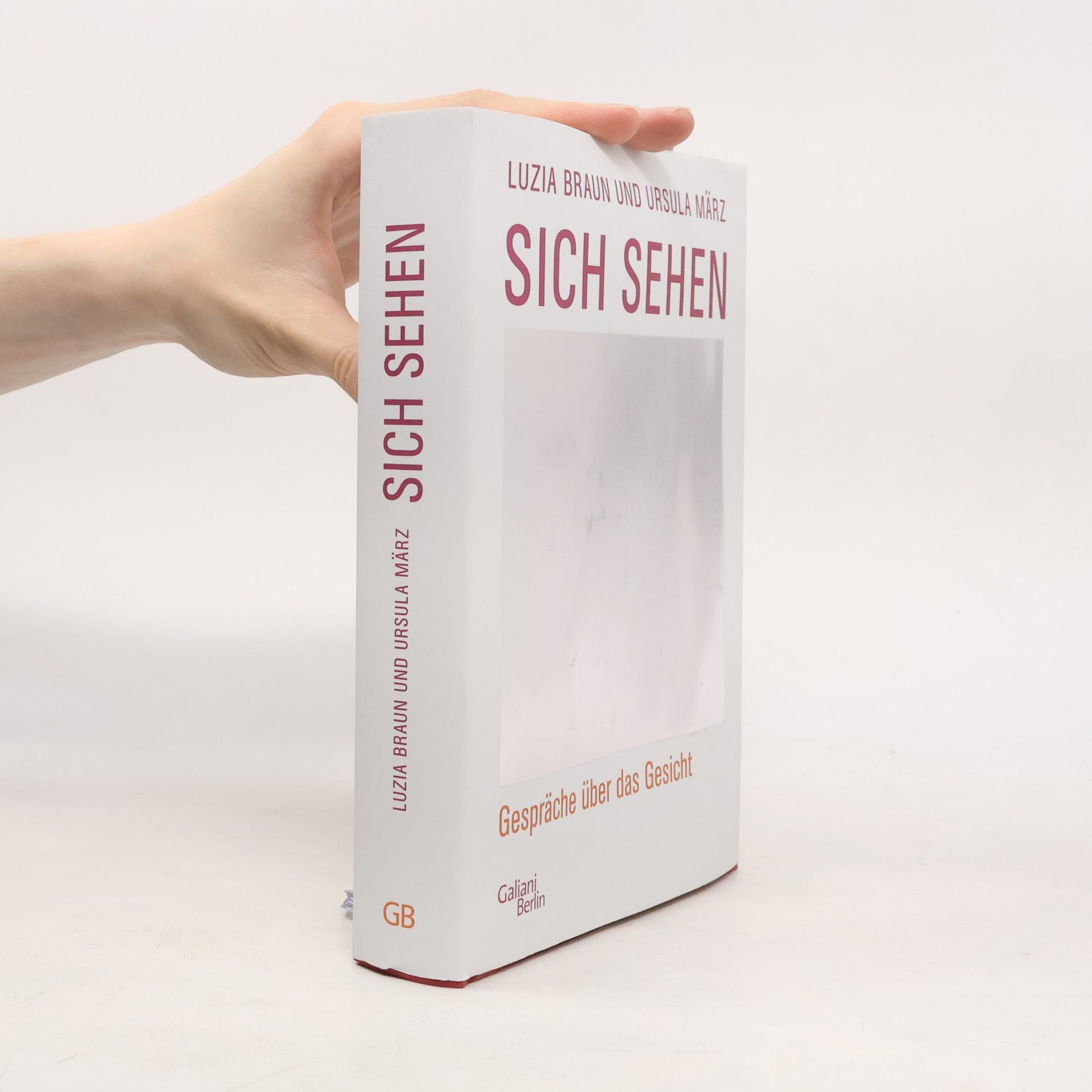 Luzia Braun Sich sehen. Gespräche über das Gesicht