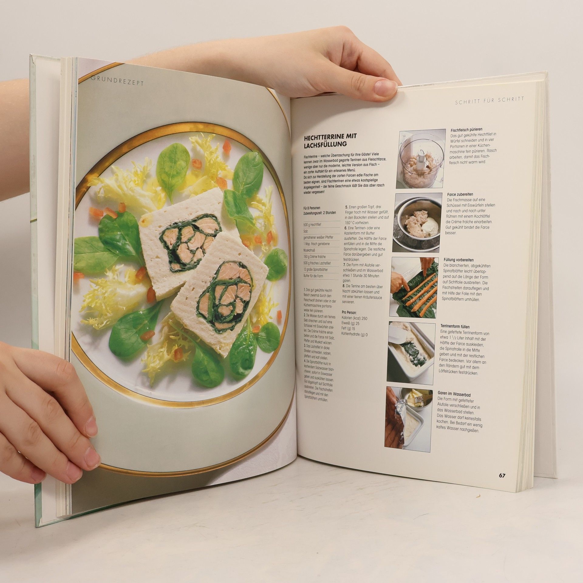 Autorenkollektiv Vorspeisen. Die besten Rezepte